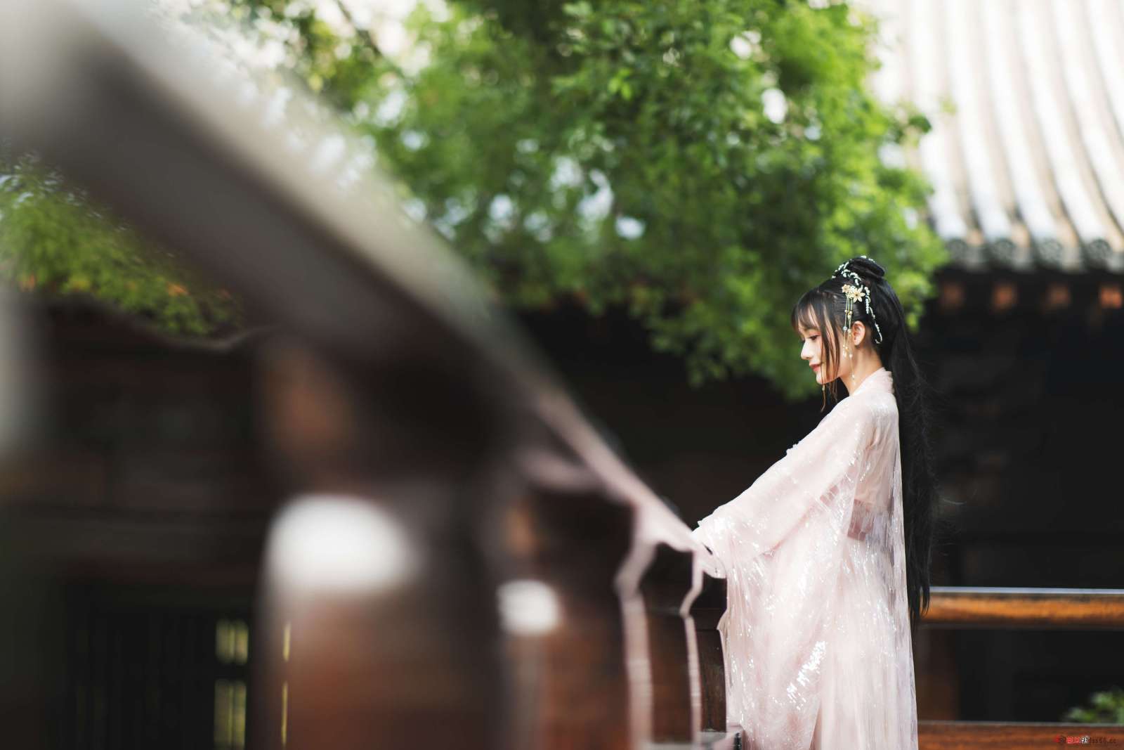 https://www.lss77.com/wp-content/uploads/2023/01/1674843731-540bd55a2cf295b-1600x1067.jpg