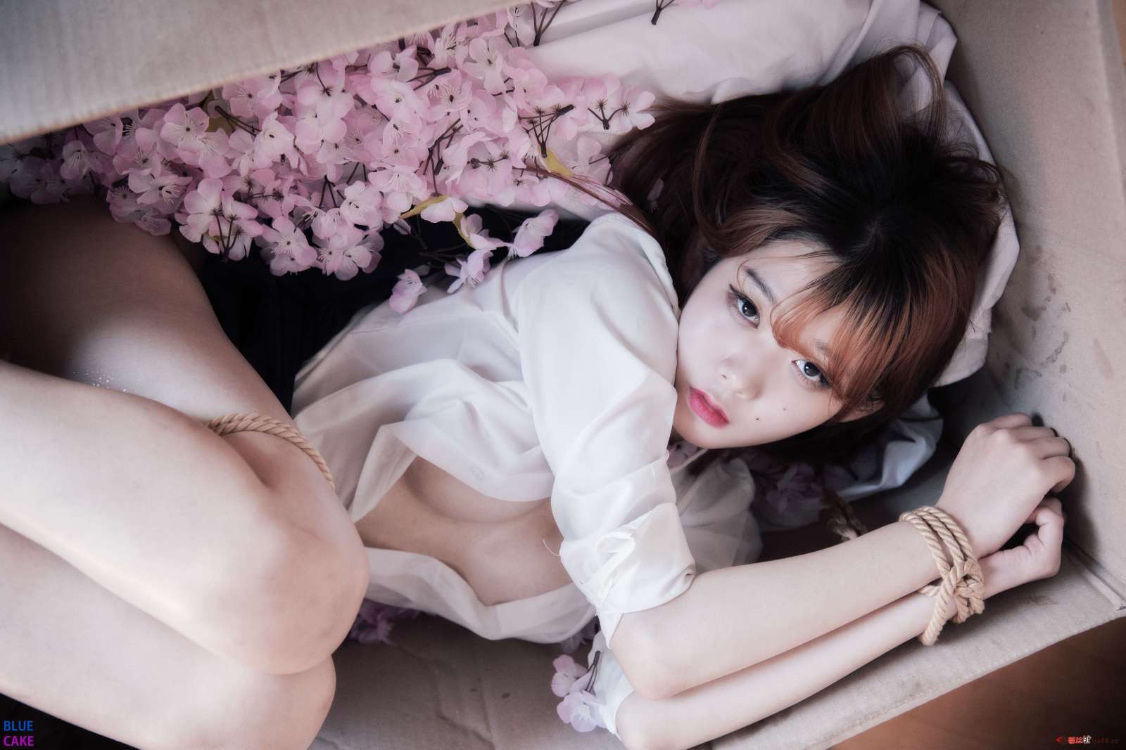 https://www.lss77.com/wp-content/uploads/2023/01/1674995723-e46d0ac1f15ac7d-1600x1067.jpg
