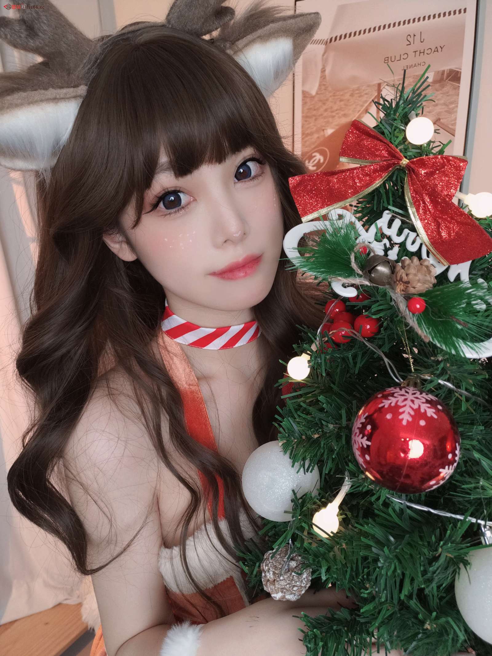 https://www.lss77.com/wp-content/uploads/2023/02/1675448169-9c3ce93643ed685-1600x2133.jpg