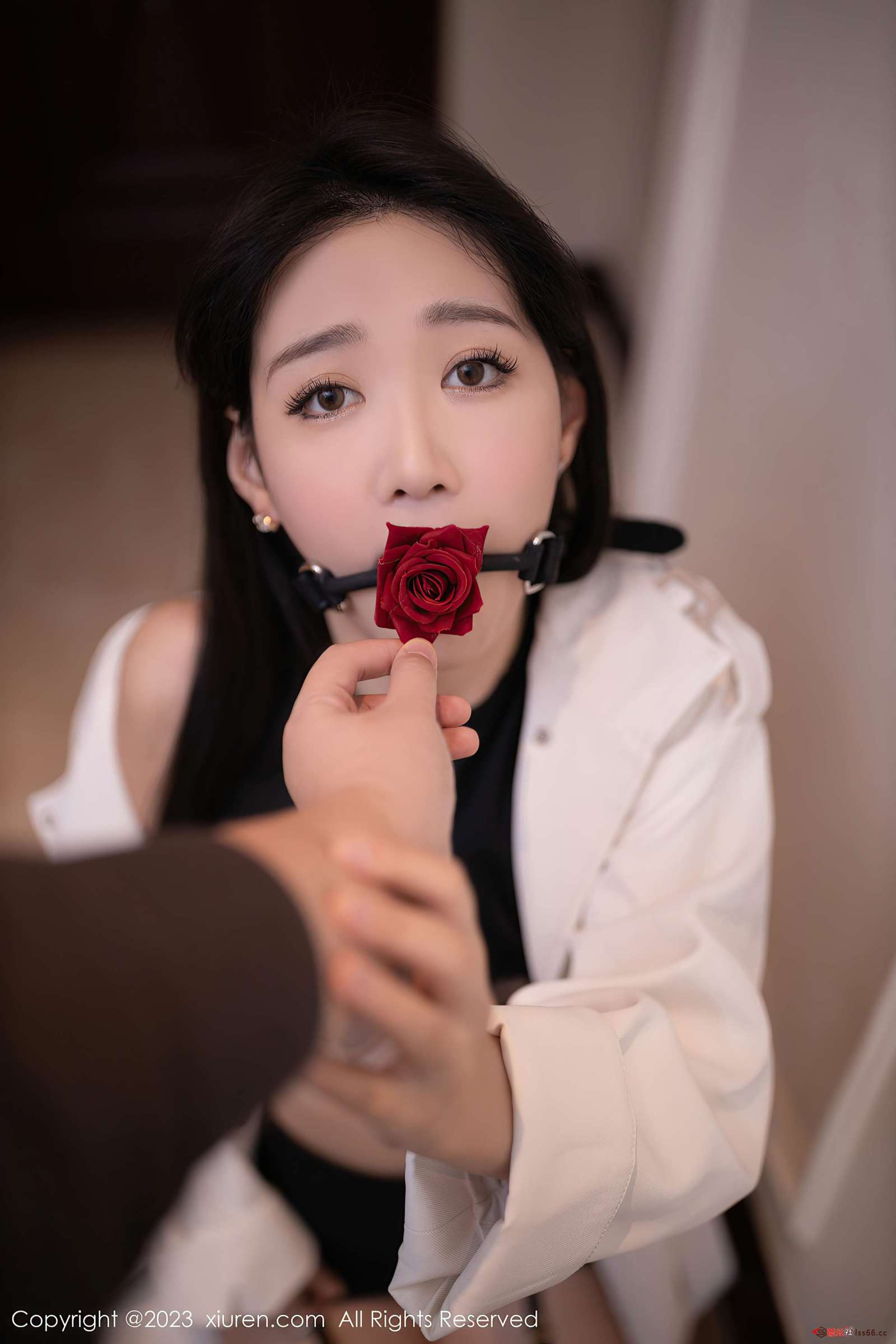 https://www.lss77.com/wp-content/uploads/2023/02/1675702969-3c0d8d9b8a1bdd4-1600x2400.jpg