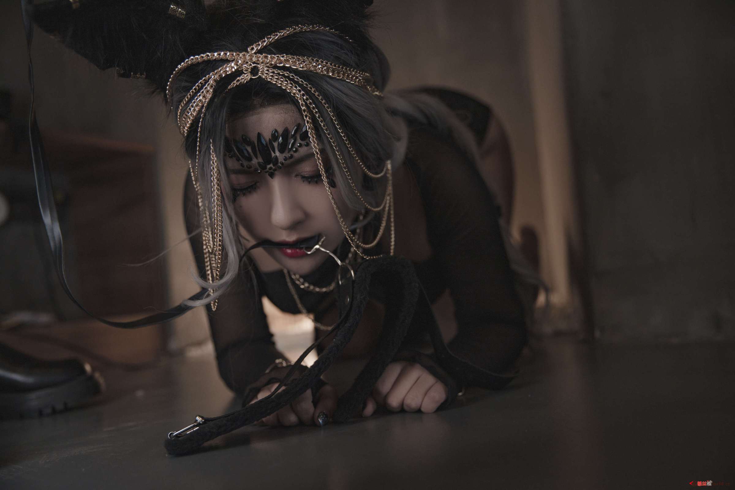 https://www.lss77.com/wp-content/uploads/2023/02/1676054409-a13ee062eff9d72-2400x1600.jpg