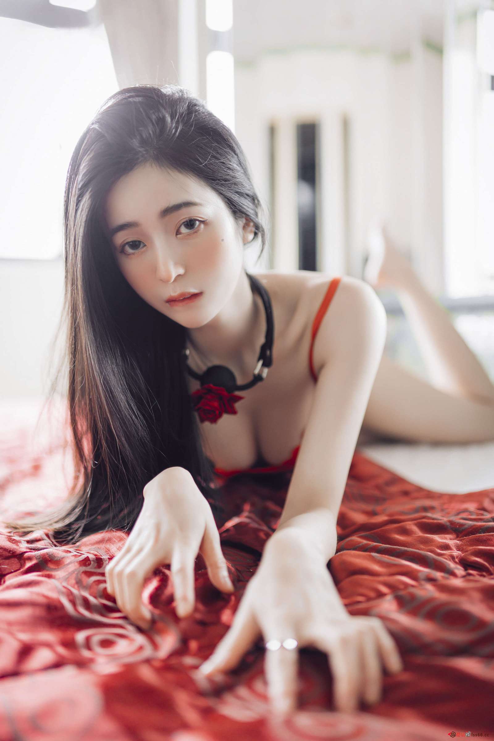 https://www.lss77.com/wp-content/uploads/2023/02/1676134677-28fd0fbd334515d-1600x2400.jpg