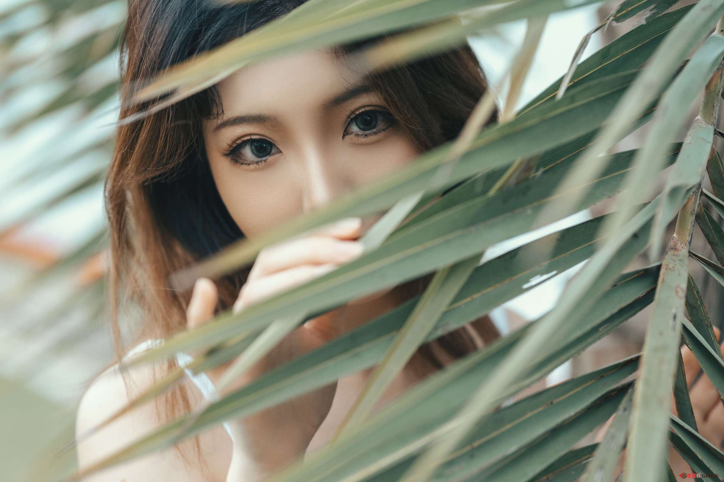 https://www.lss77.com/wp-content/uploads/2023/02/1676136904-11364907cf269dd-2400x1600.jpg