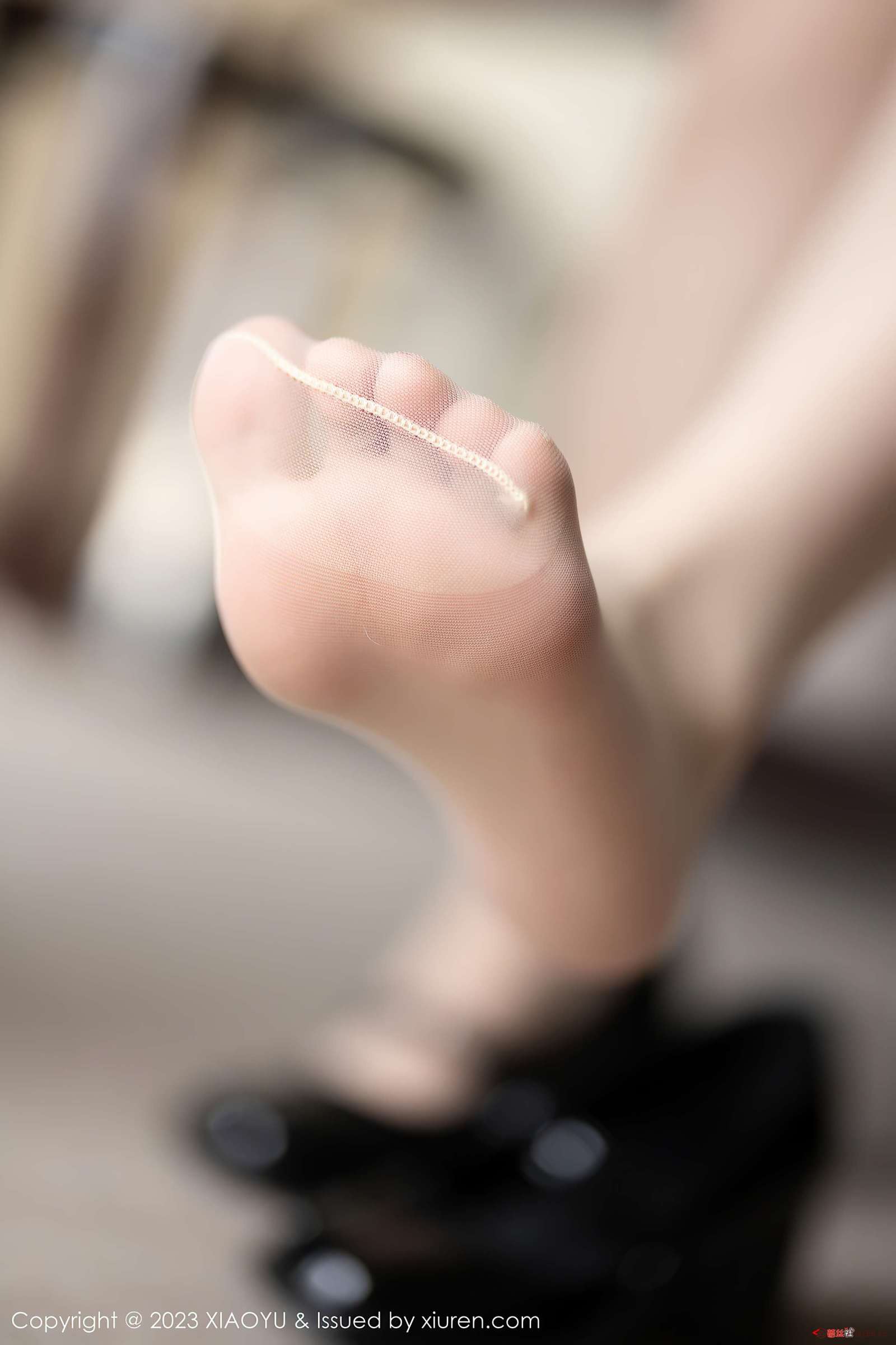 https://www.lss77.com/wp-content/uploads/2023/02/1676288786-540bd55a2cf295b-1600x2400.jpg