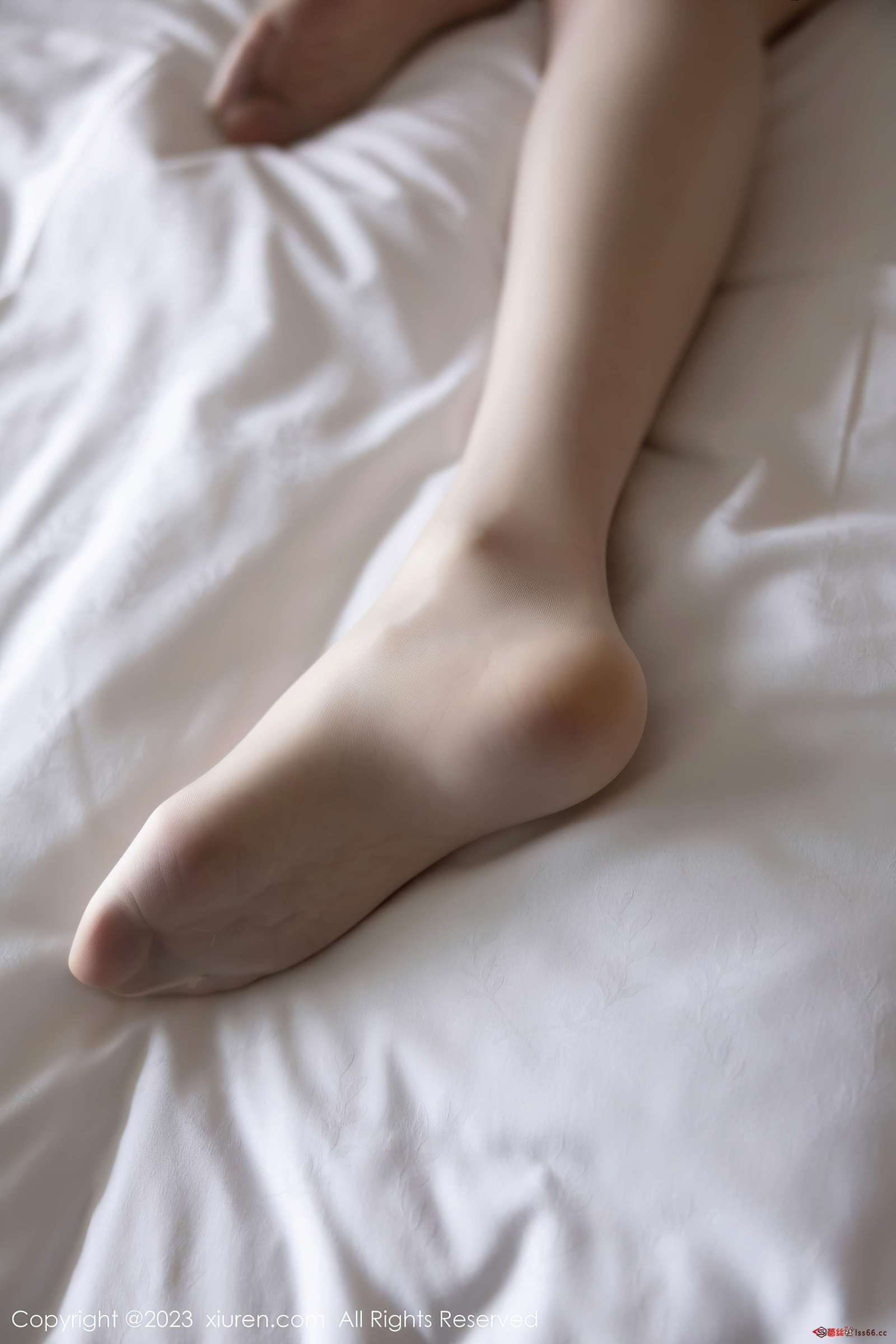 https://www.lss77.com/wp-content/uploads/2023/02/1676289524-96fd0b319802304-1600x2400.jpg
