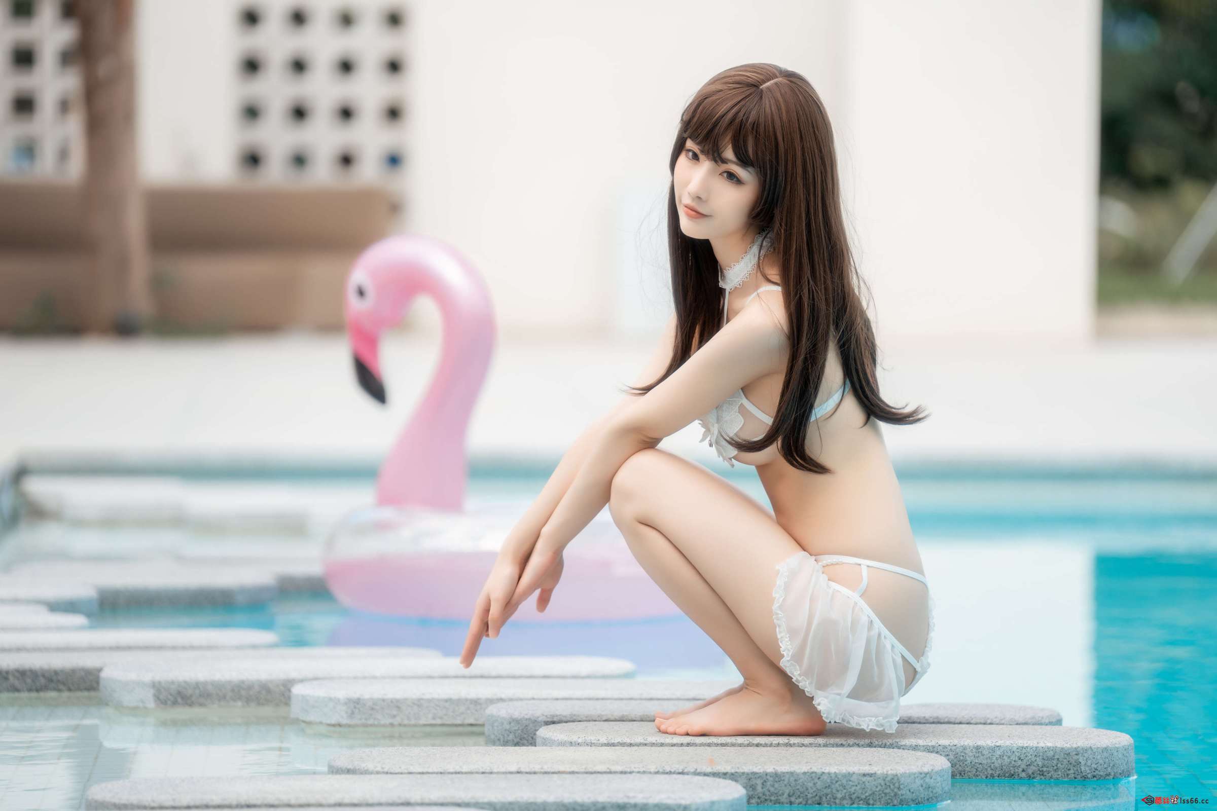 https://www.lss77.com/wp-content/uploads/2023/02/1676390832-441954d29ad2a37-2400x1600.jpg