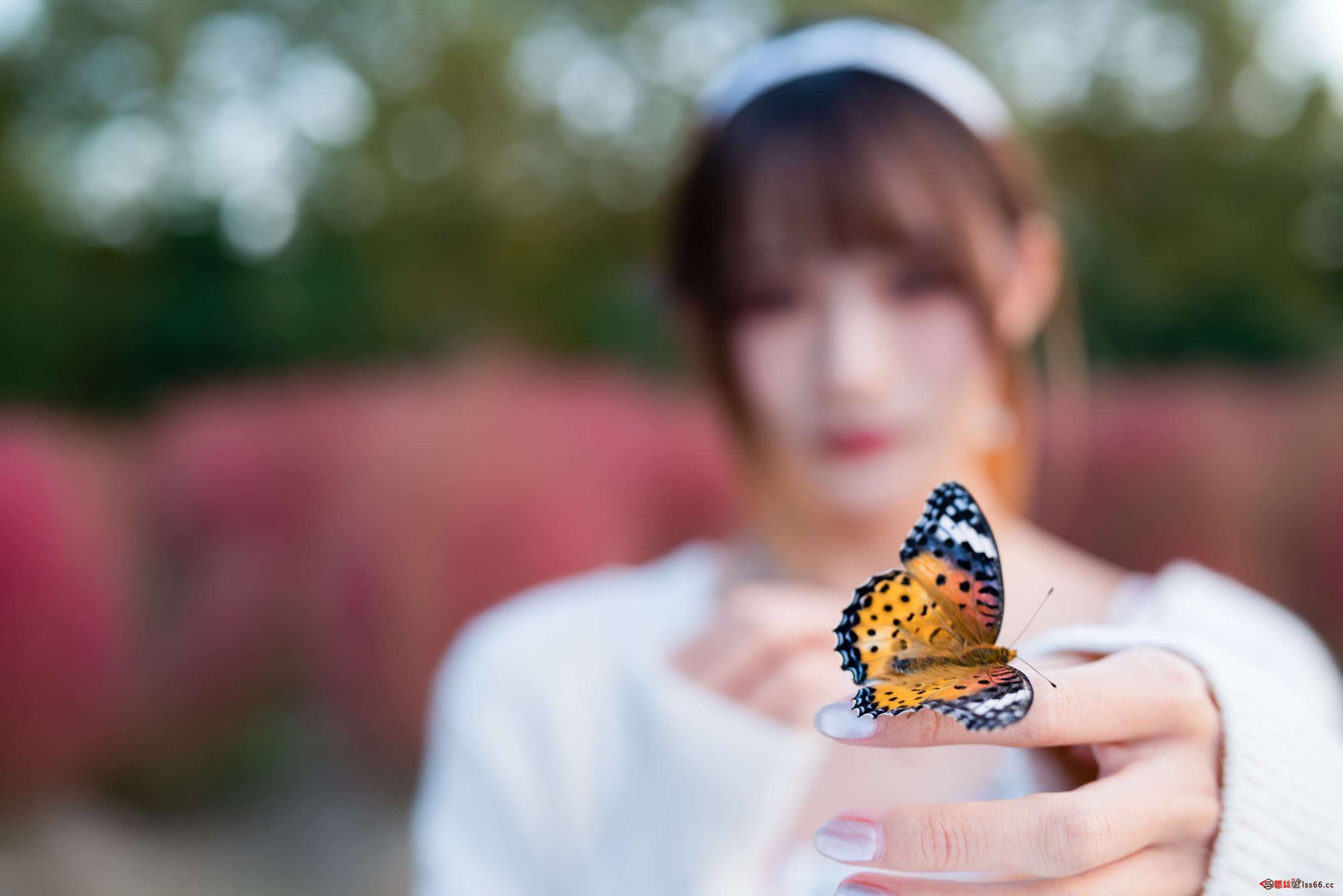 https://www.lss77.com/wp-content/uploads/2023/02/1676463455-d9f5e405a7f74ed-2400x1602.jpg
