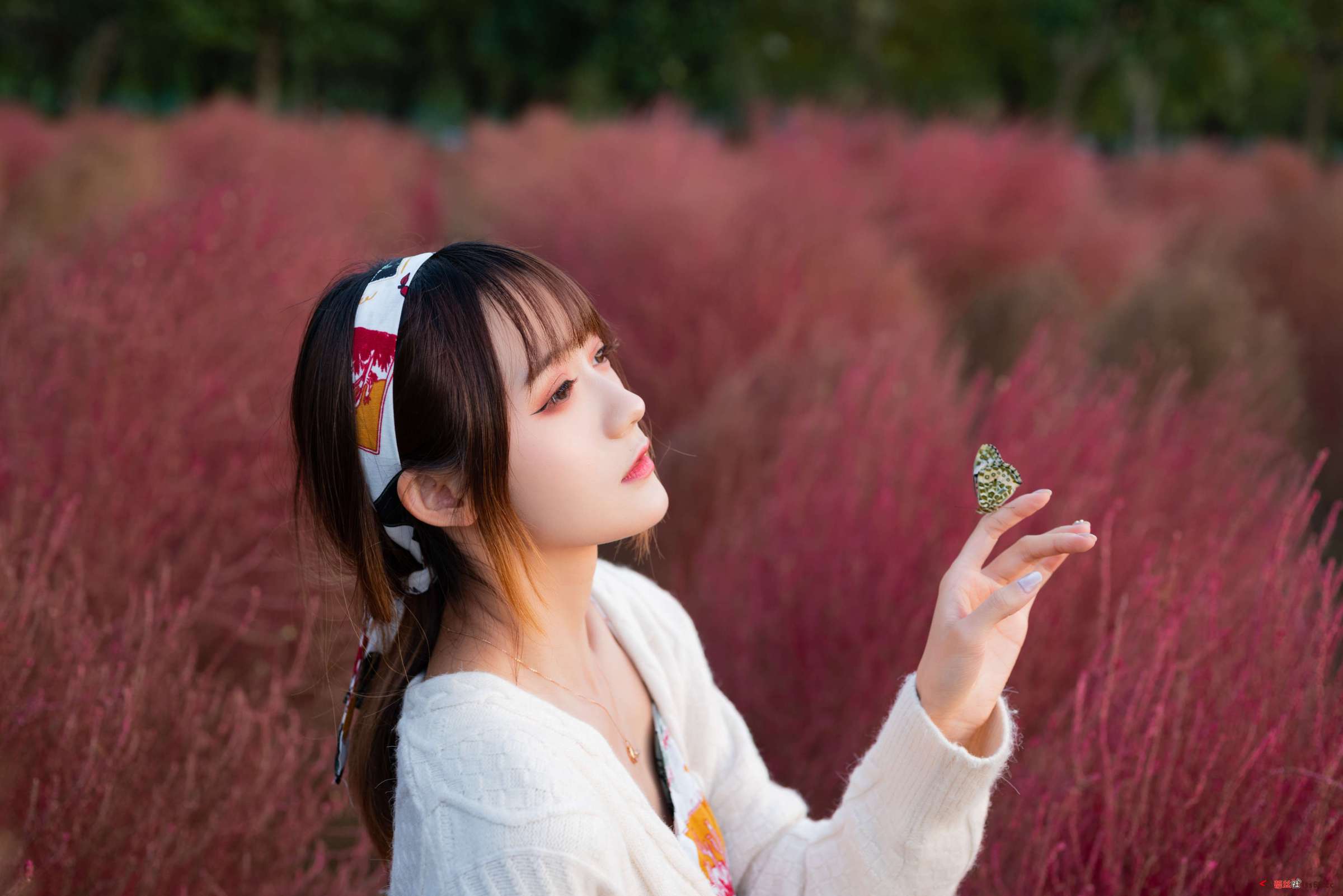 https://www.lss77.com/wp-content/uploads/2023/02/1676463497-ed0a75eeb69b34d-2400x1602.jpg