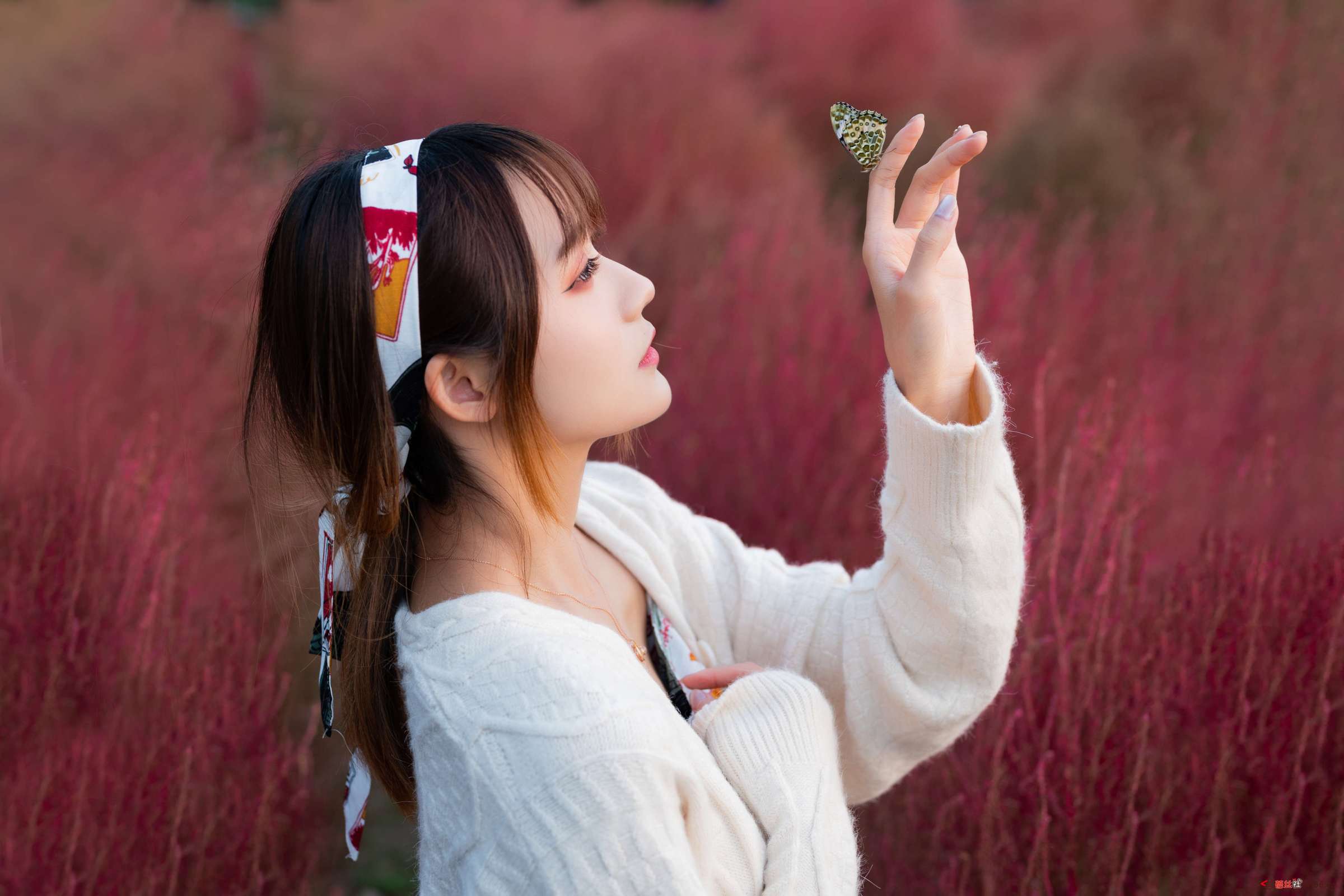 https://www.lss77.com/wp-content/uploads/2023/02/1676463501-2ebe25dd3a566f3-2400x1600.jpg
