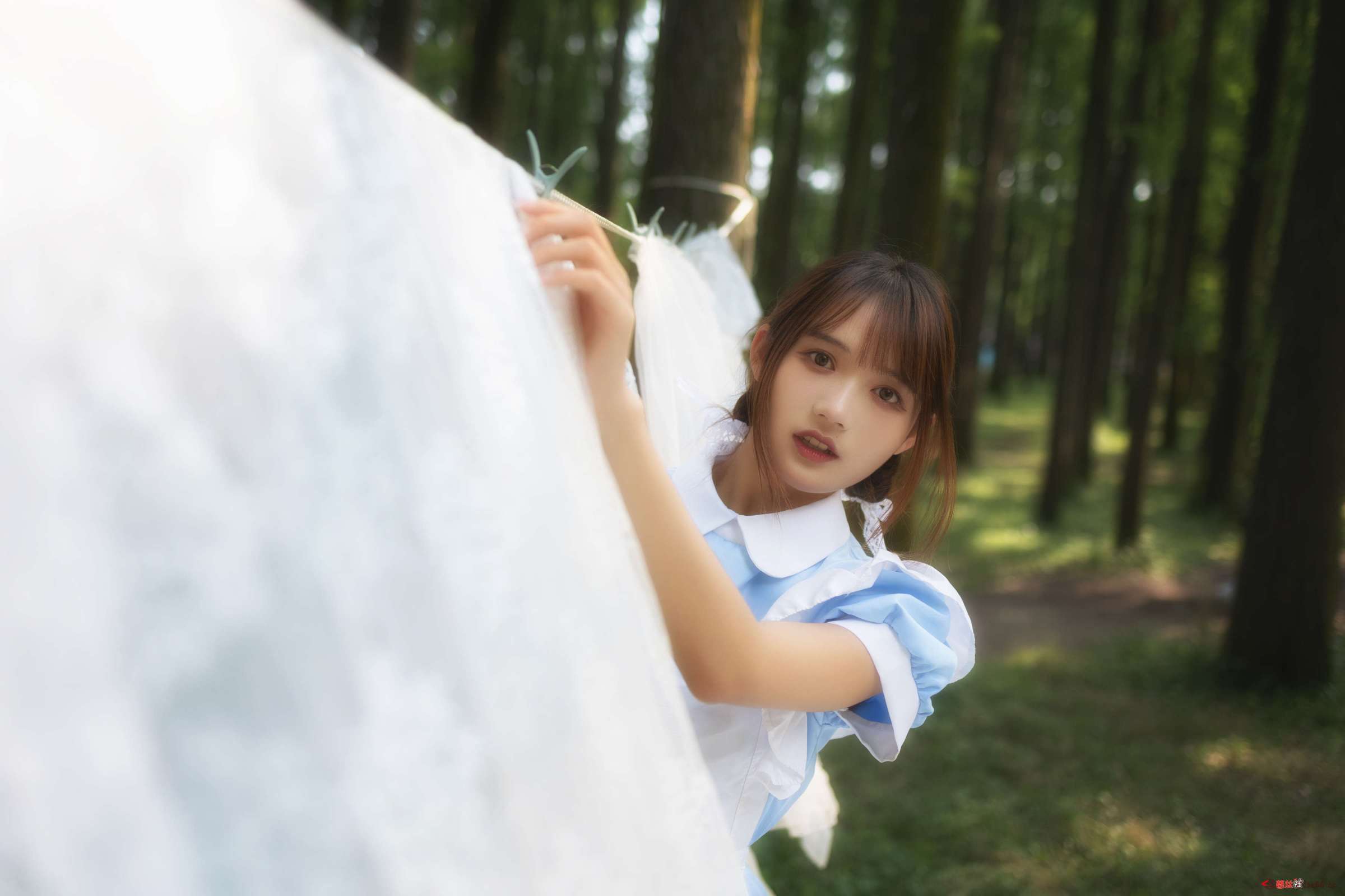 https://www.lss77.com/wp-content/uploads/2023/02/1676463505-ed0a75eeb69b34d-2400x1600.jpg