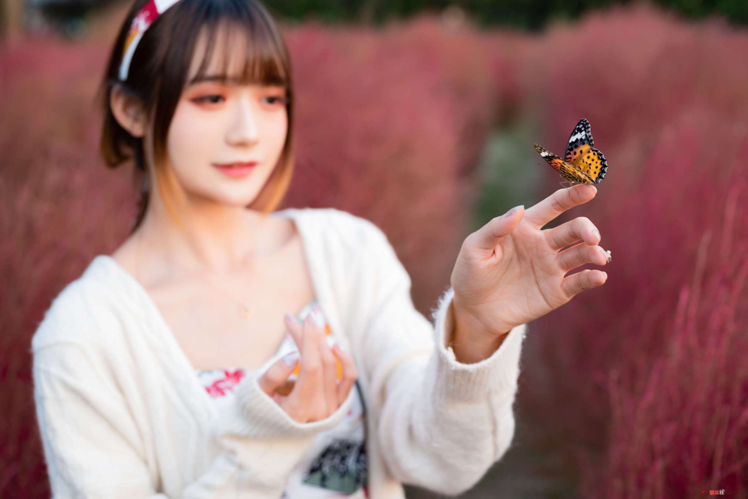 https://www.lss77.com/wp-content/uploads/2023/02/1676463508-f865c5e07958ad7-2400x1602.jpg