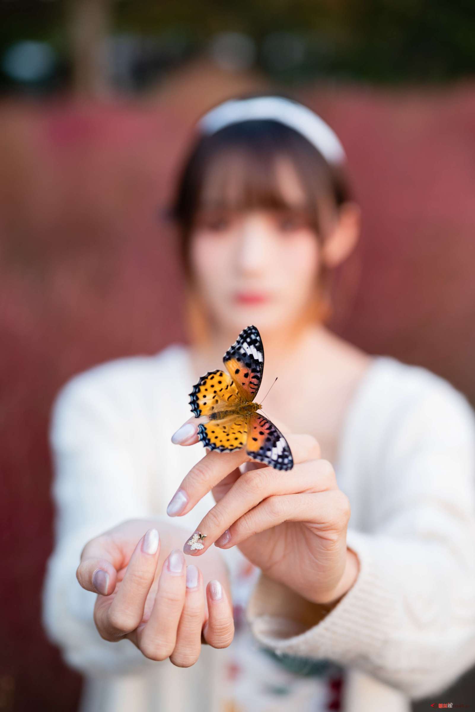 https://www.lss77.com/wp-content/uploads/2023/02/1676463540-6cb9669ff7bbb14-1602x2400.jpg