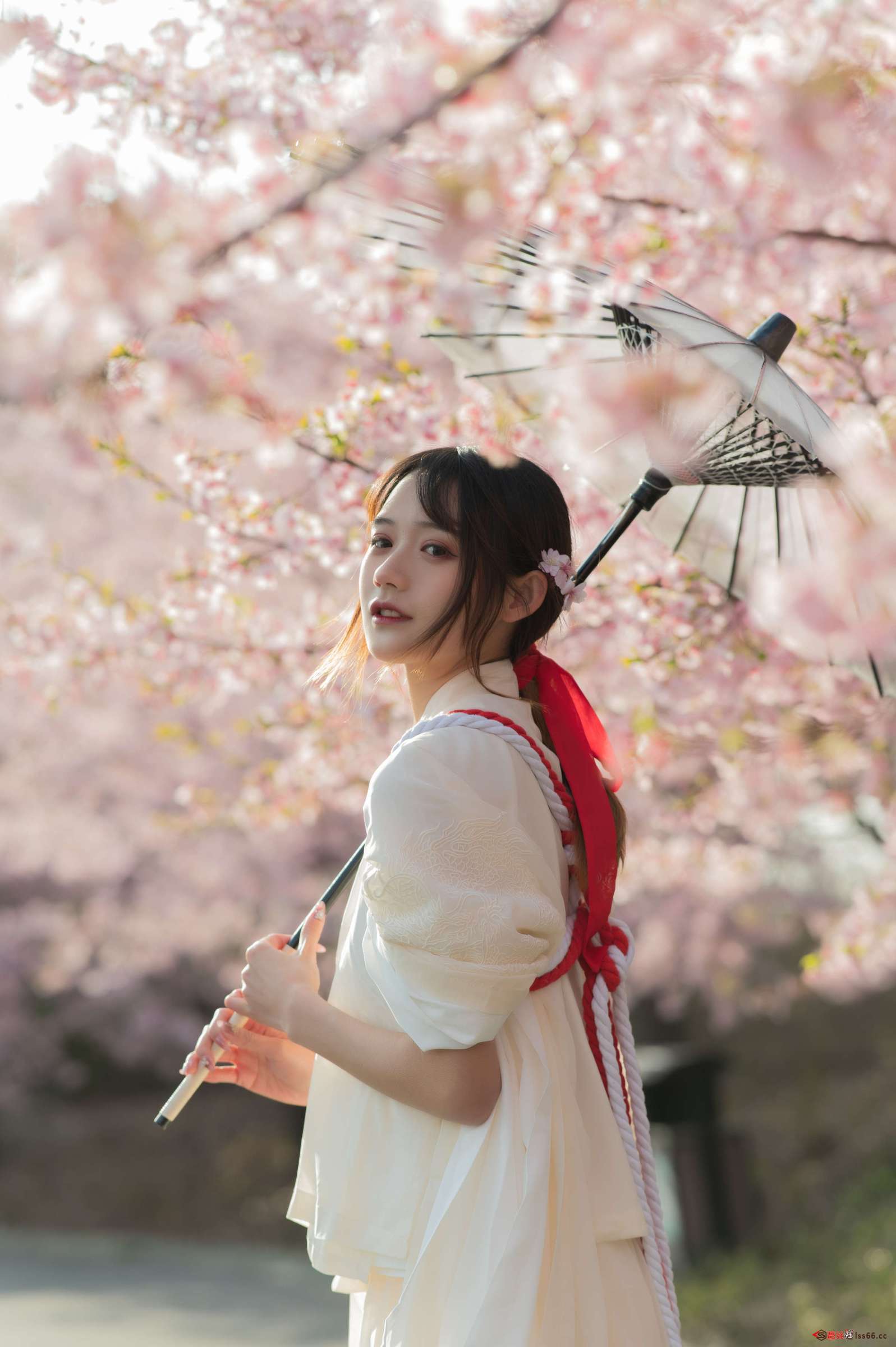 https://www.lss77.com/wp-content/uploads/2023/02/1676545305-11364907cf269dd-1597x2400.jpg