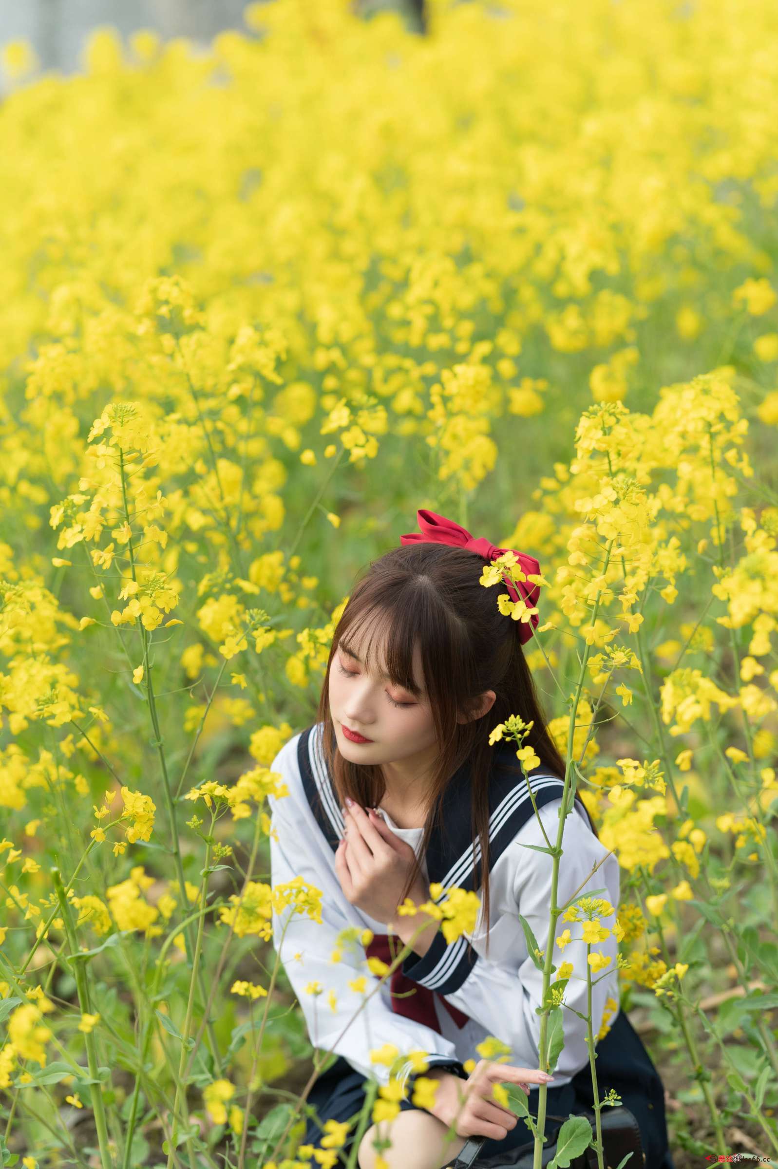 https://www.lss77.com/wp-content/uploads/2023/02/1676545675-5c7d5705ab73466-1597x2400.jpg