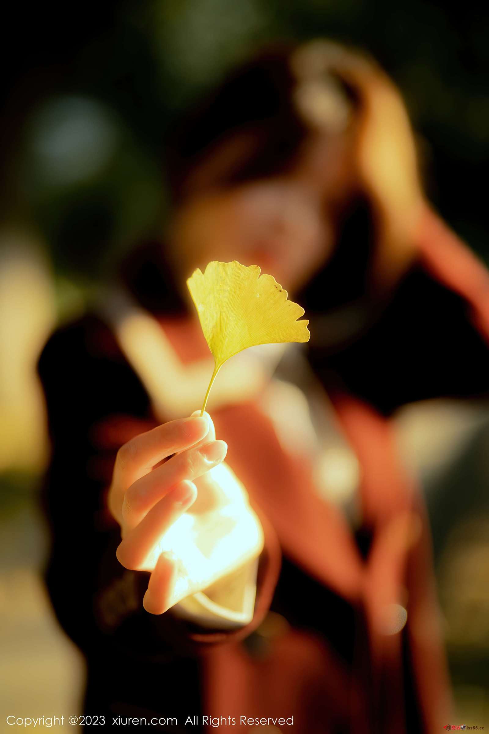 https://www.lss77.com/wp-content/uploads/2023/02/1676620936-096ec814d2392f3-1600x2400.jpg