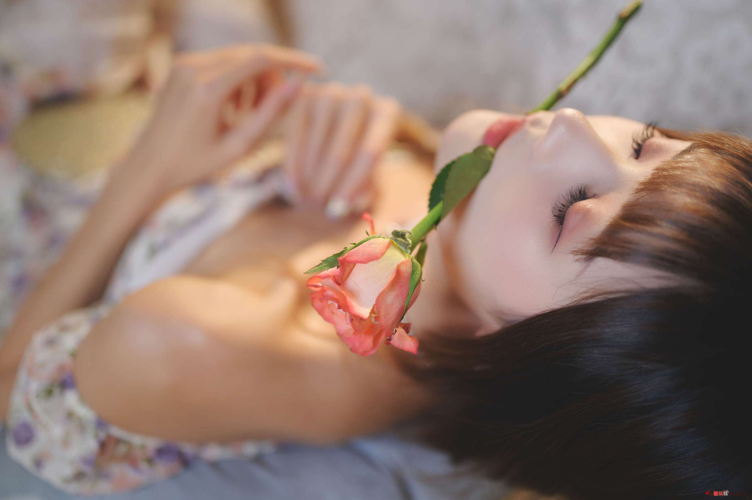 https://www.lss77.com/wp-content/uploads/2023/02/1676879490-8f03ad02c6cad60-2400x1597.jpg