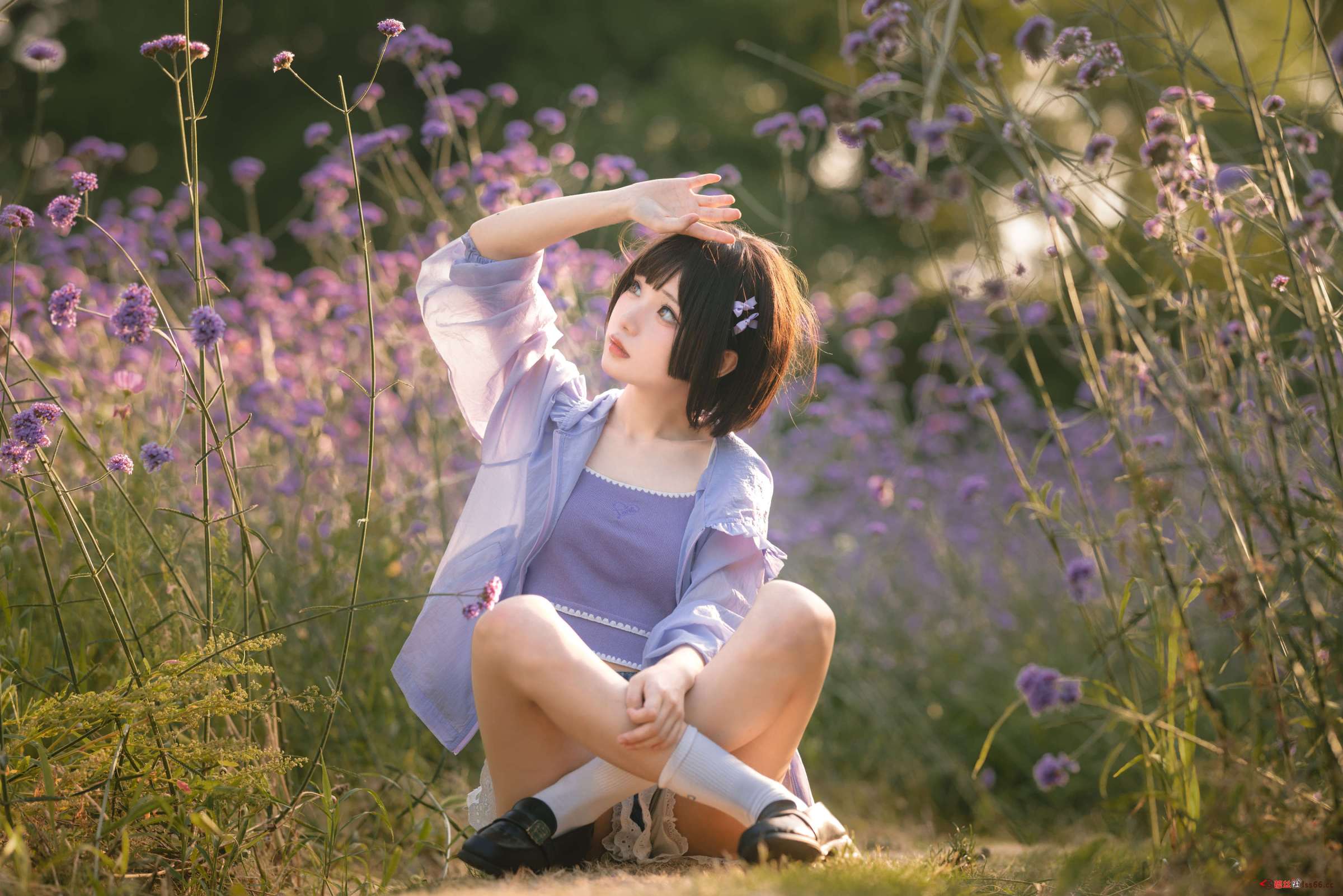 https://www.lss77.com/wp-content/uploads/2023/02/1677150283-441954d29ad2a37-2400x1601.jpg