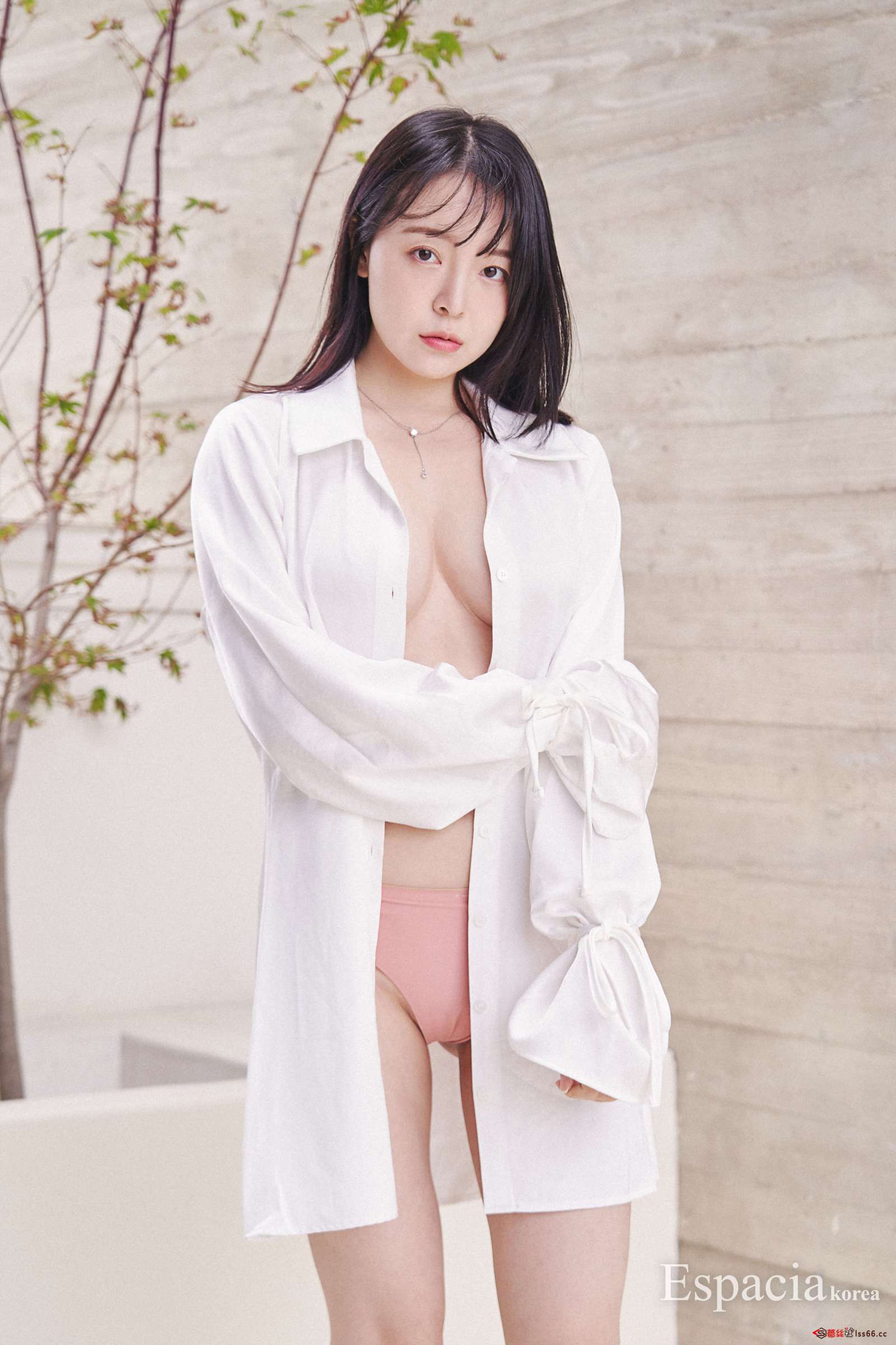 https://www.lss77.com/wp-content/uploads/2023/02/1677153491-6950aac2d7932e1-1600x2400.jpg