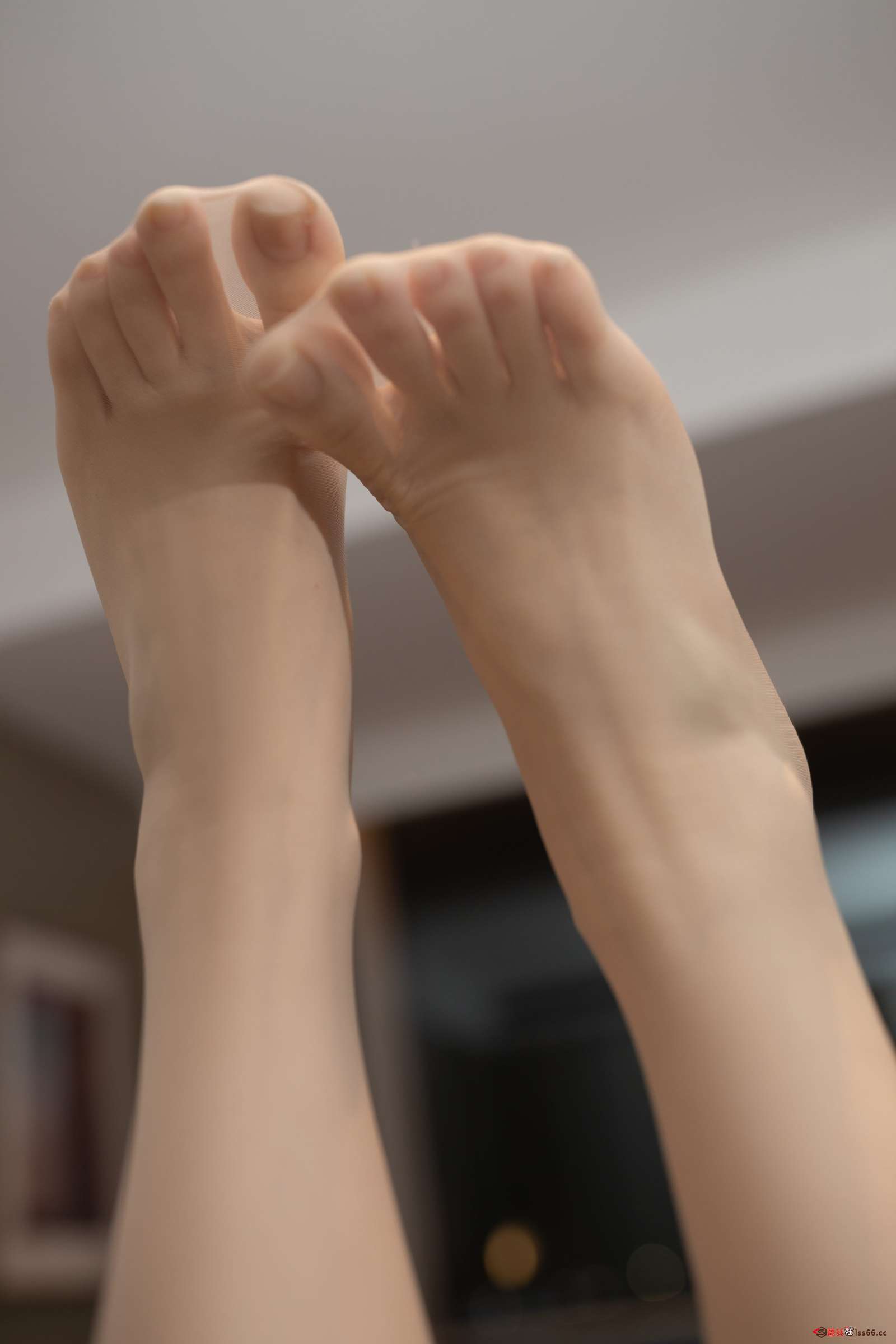 https://www.lss77.com/wp-content/uploads/2023/02/1677154475-698d51a19d8a121-1600x2400.jpg