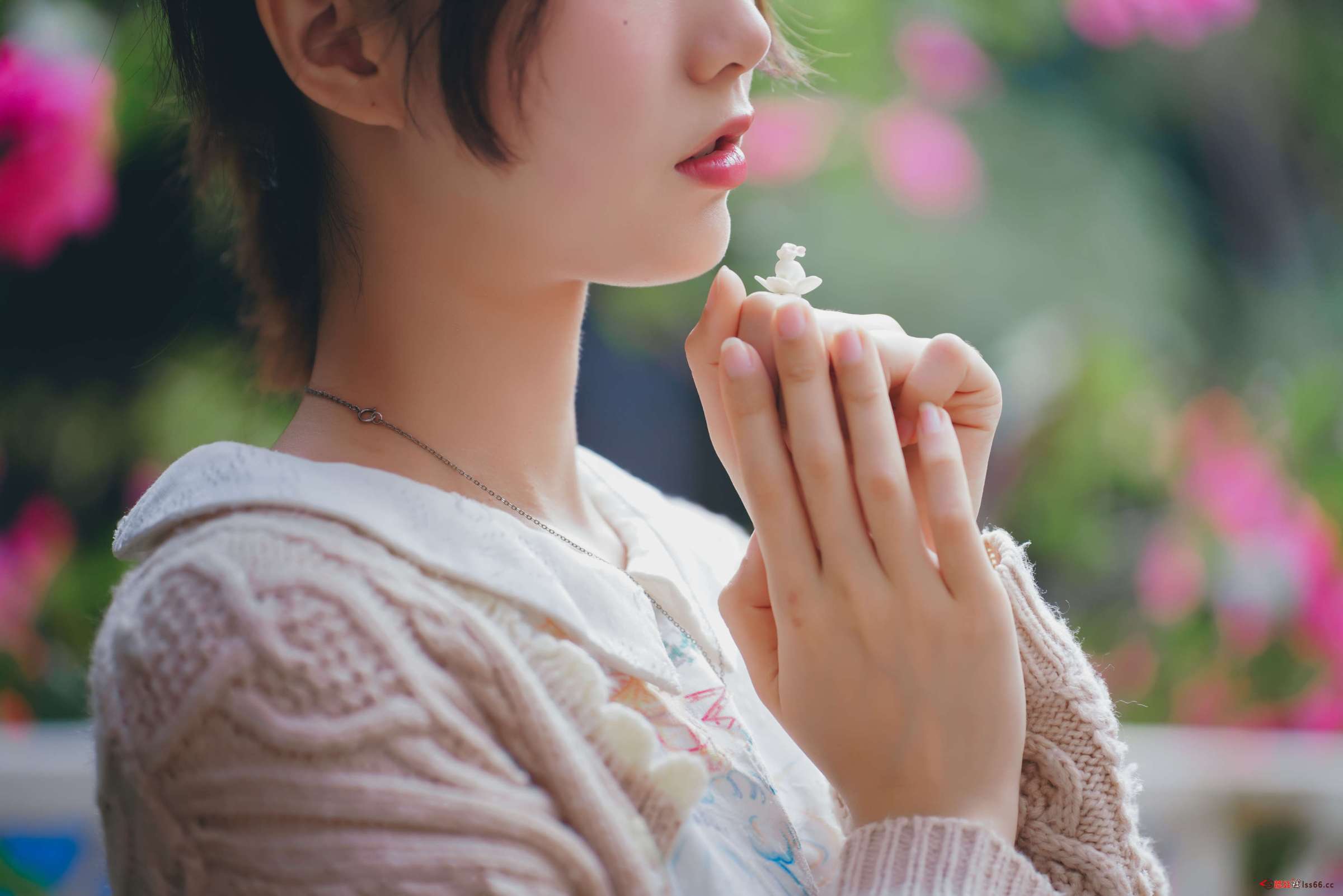 https://www.lss77.com/wp-content/uploads/2023/02/1677395412-a13ee062eff9d72-2400x1601.jpg