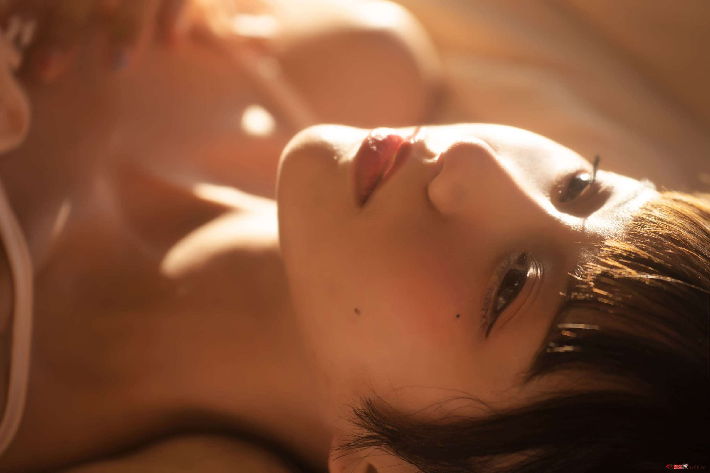 https://www.lss77.com/wp-content/uploads/2023/02/1677395983-e88a49bccde359f-2400x1601.jpg