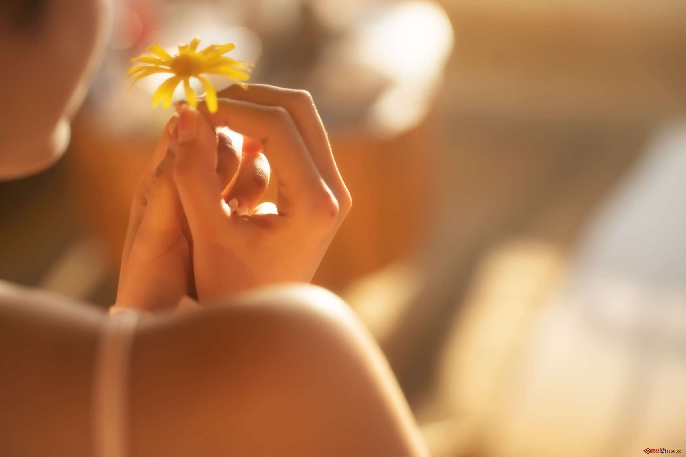 https://www.lss77.com/wp-content/uploads/2023/02/1677396024-ce08becc73195df-2400x1601.jpg