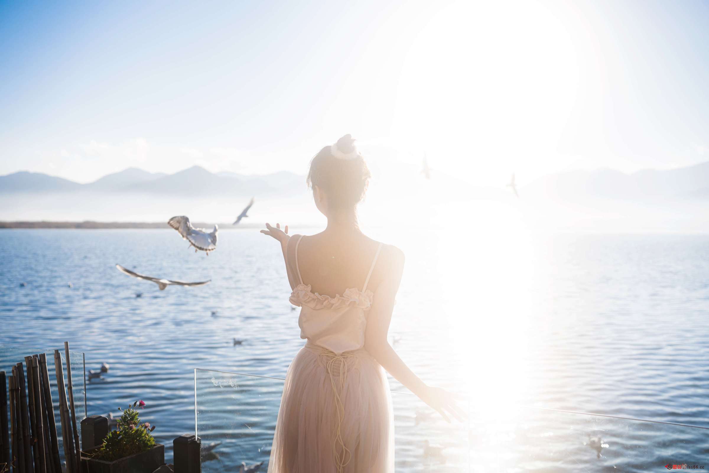 https://www.lss77.com/wp-content/uploads/2023/02/1677396220-441954d29ad2a37-2400x1601.jpg