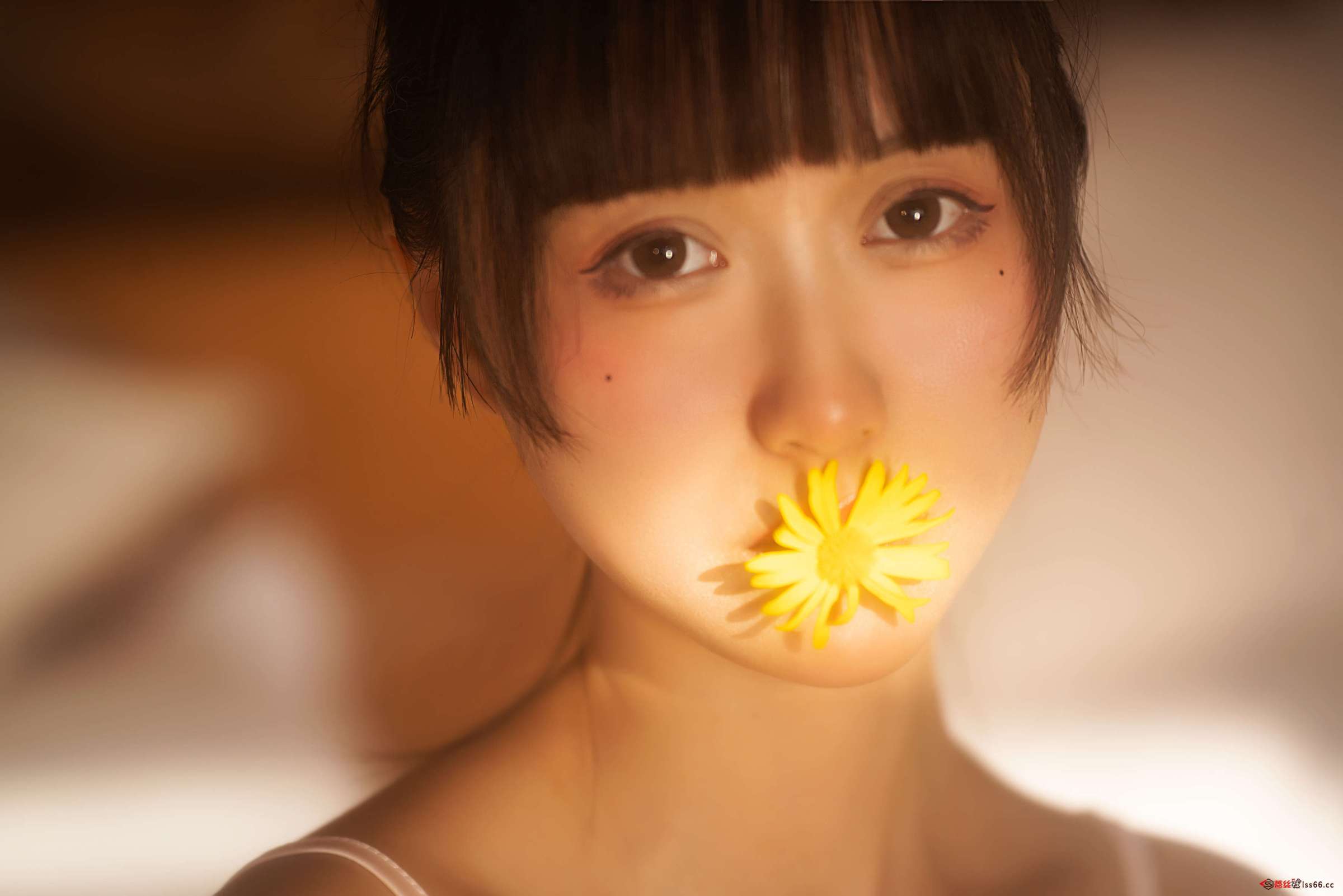 https://www.lss77.com/wp-content/uploads/2023/02/1677396383-cf2e4f52be52a8f-2400x1601.jpg