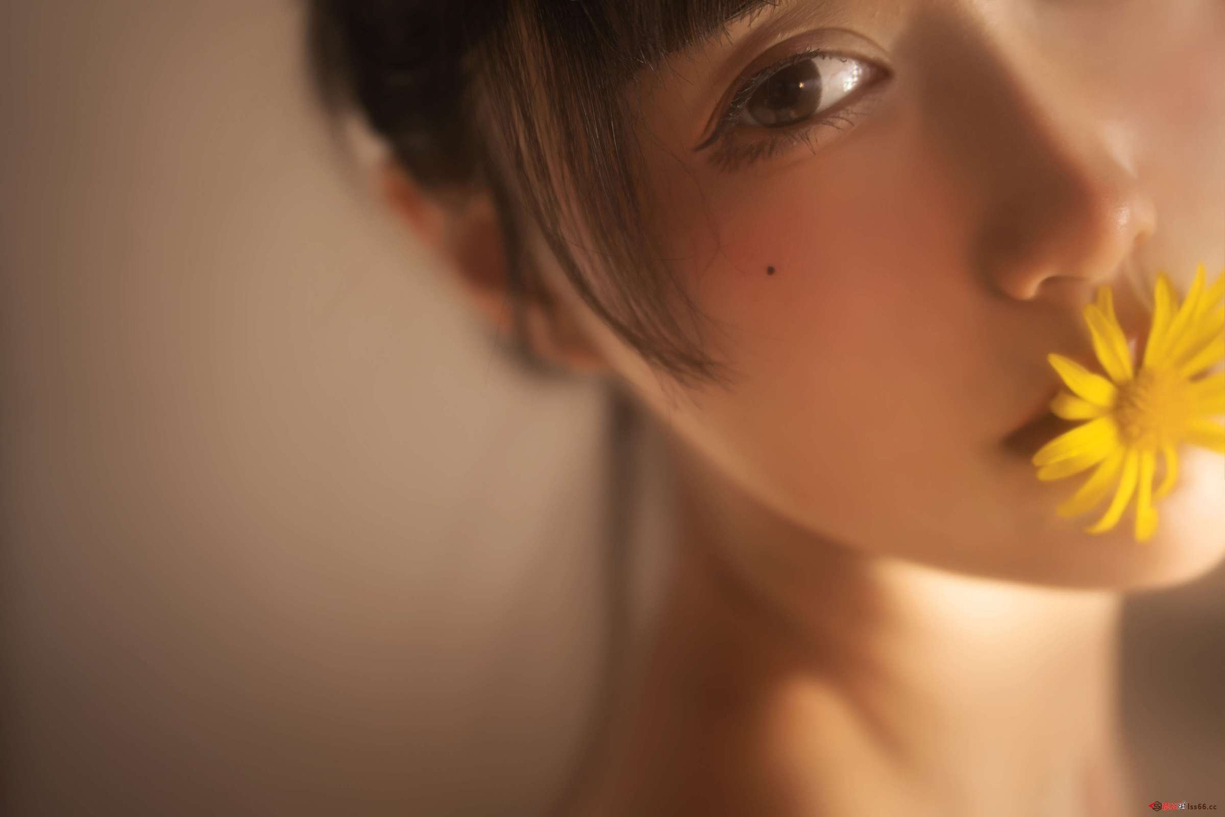 https://www.lss77.com/wp-content/uploads/2023/02/1677396400-9f9cee5b98b2e35-2400x1601.jpg