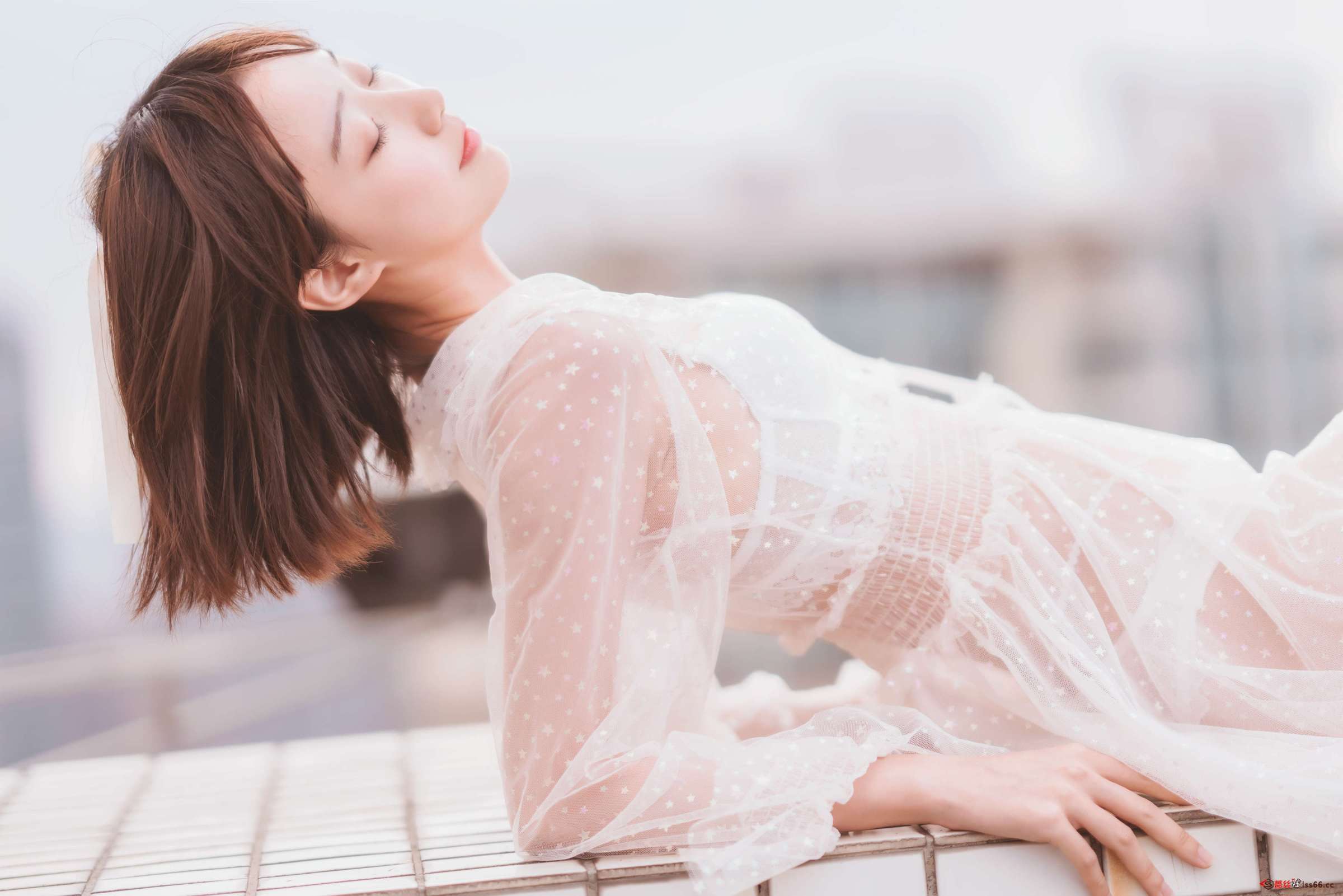 https://www.lss77.com/wp-content/uploads/2023/02/1677517881-5c7d5705ab73466-2400x1601.jpg
