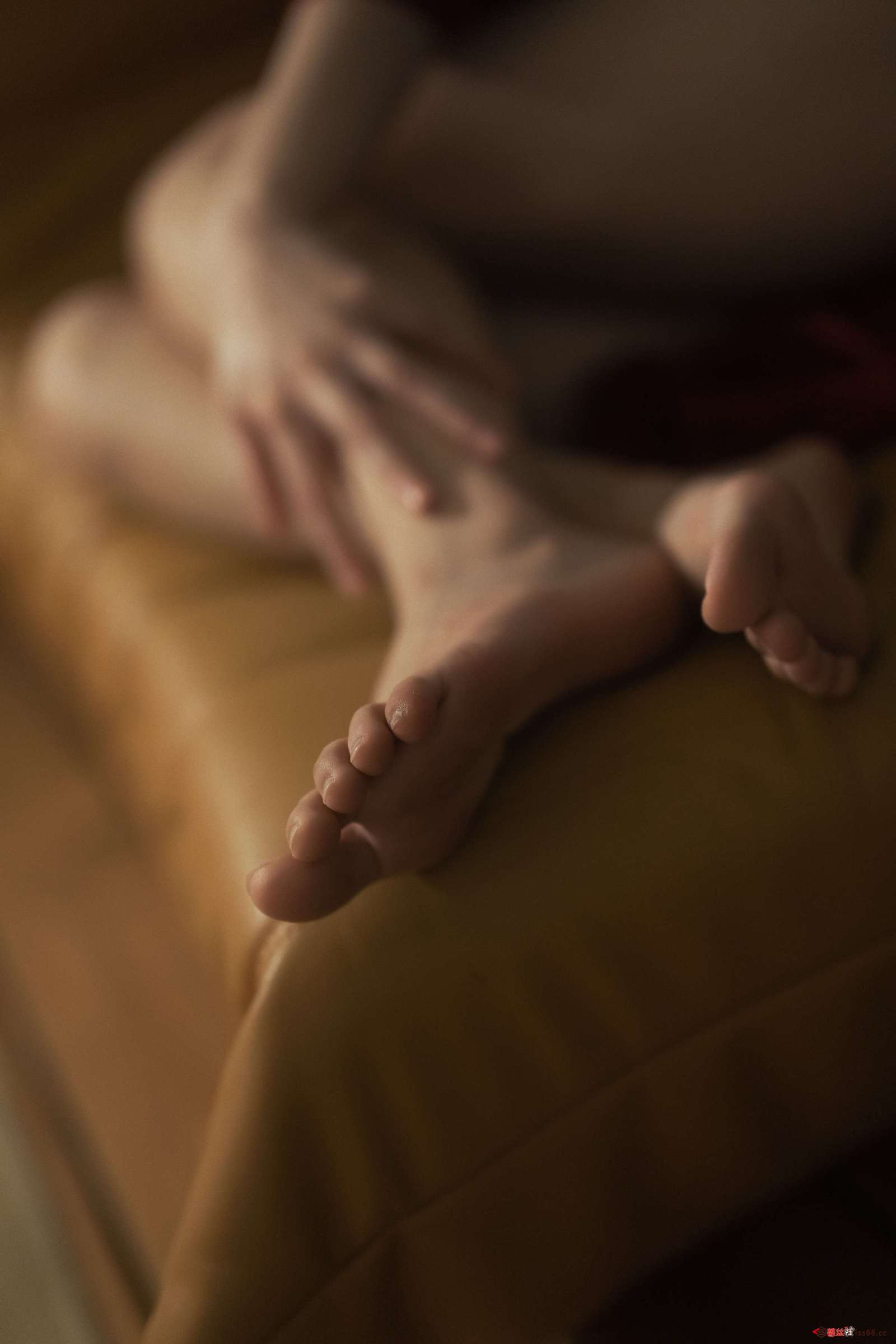 https://www.lss77.com/wp-content/uploads/2023/02/1677521860-d2490f048dc3b77-1600x2400.jpg