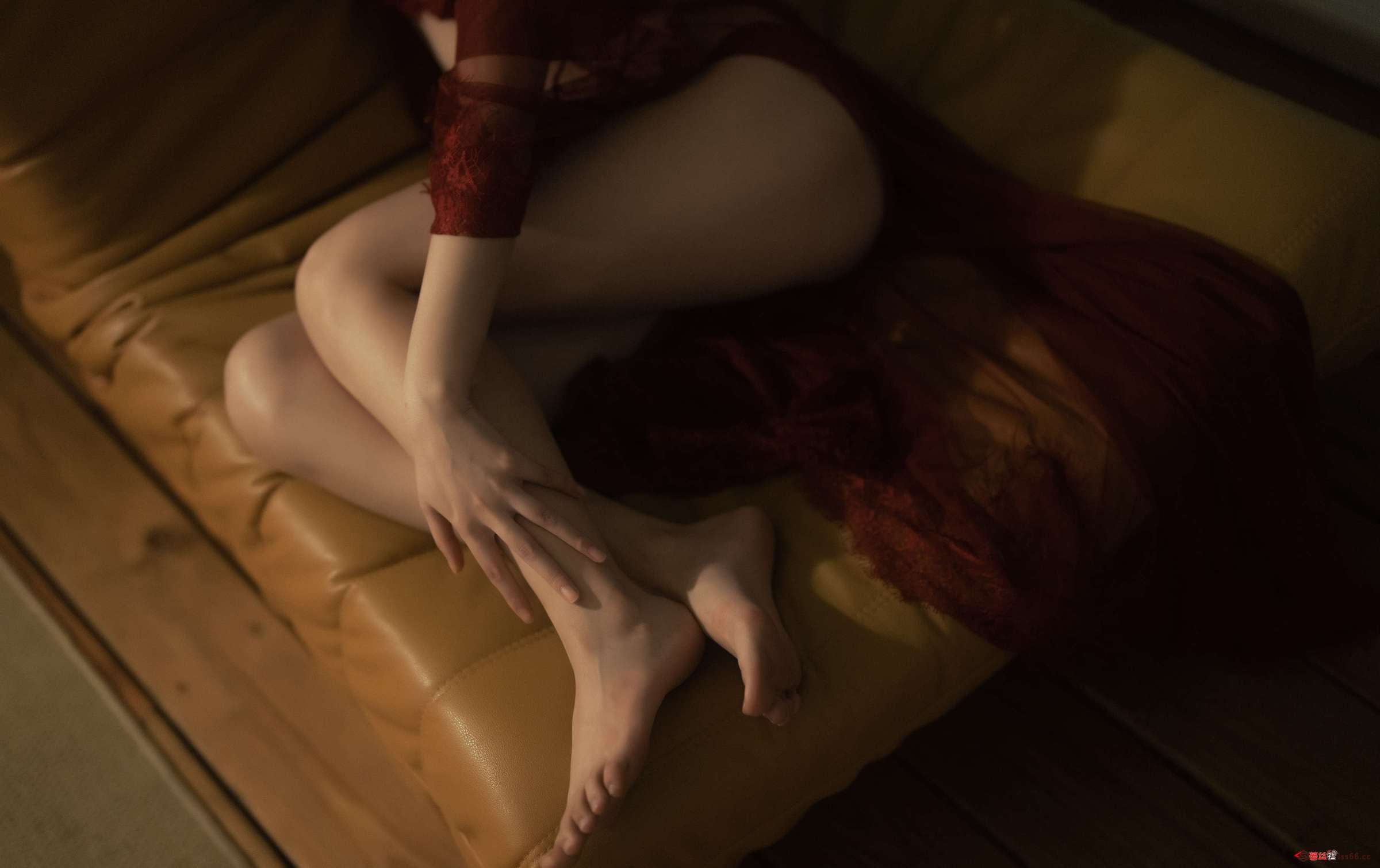 https://www.lss77.com/wp-content/uploads/2023/02/1677521865-441954d29ad2a37-2400x1511.jpg