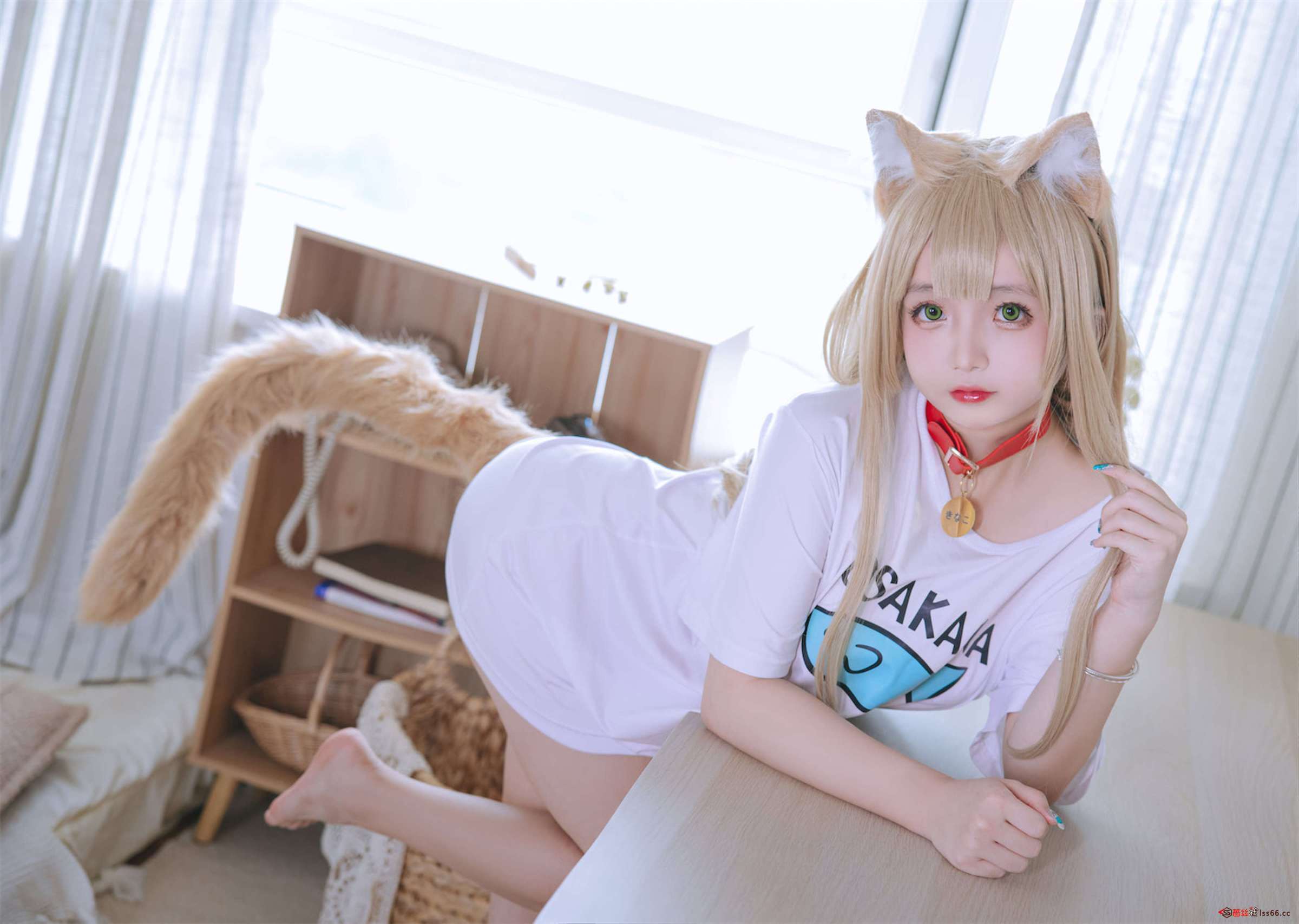 https://www.lss77.com/wp-content/uploads/2023/03/1677607627-871c14878fa75bc-2400x1707.jpg