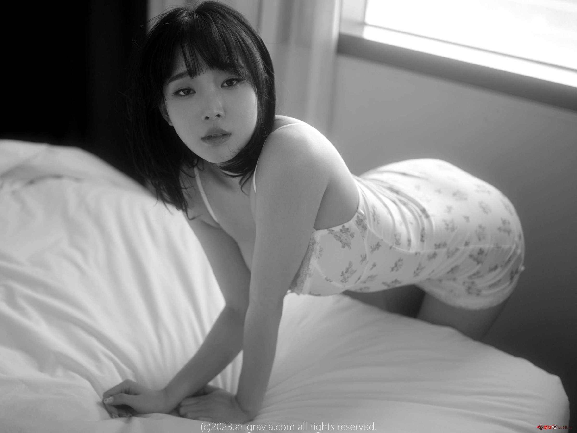 https://www.lss77.com/wp-content/uploads/2023/03/1677777833-6d4a60c0cdc0414-2400x1800.jpg