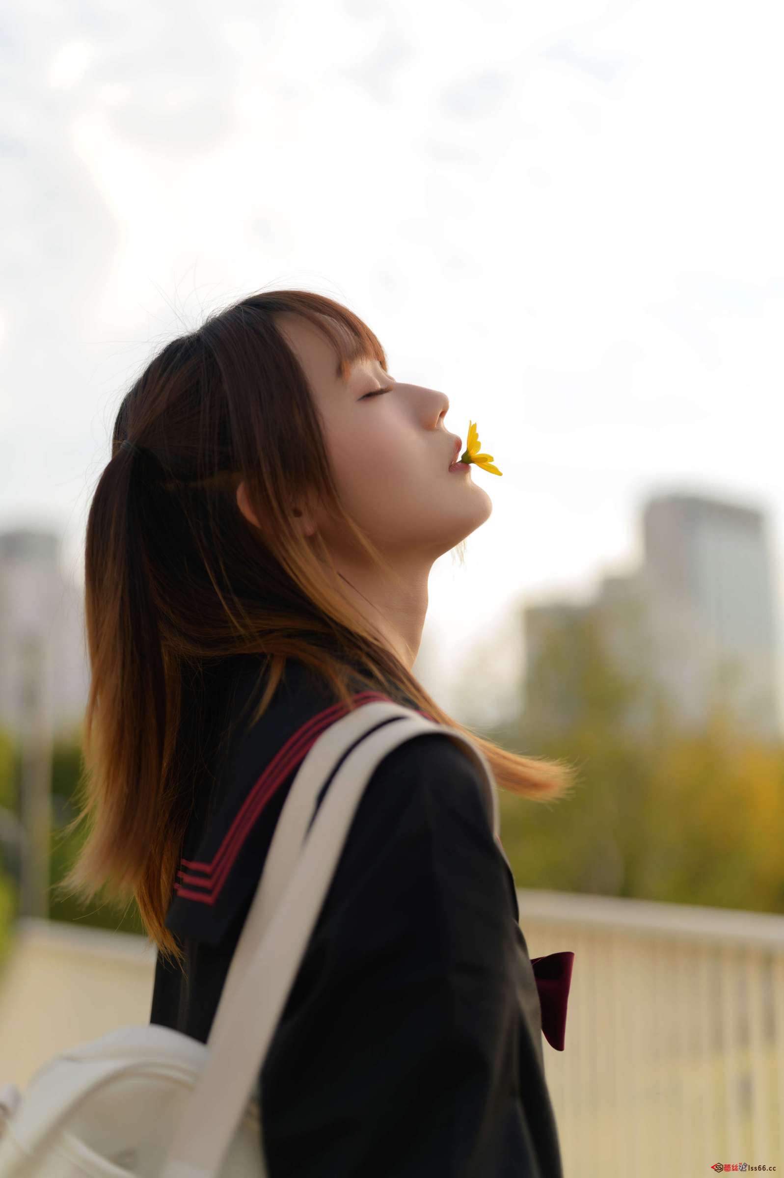 https://www.lss77.com/wp-content/uploads/2023/03/1678007576-11364907cf269dd-1597x2400.jpg