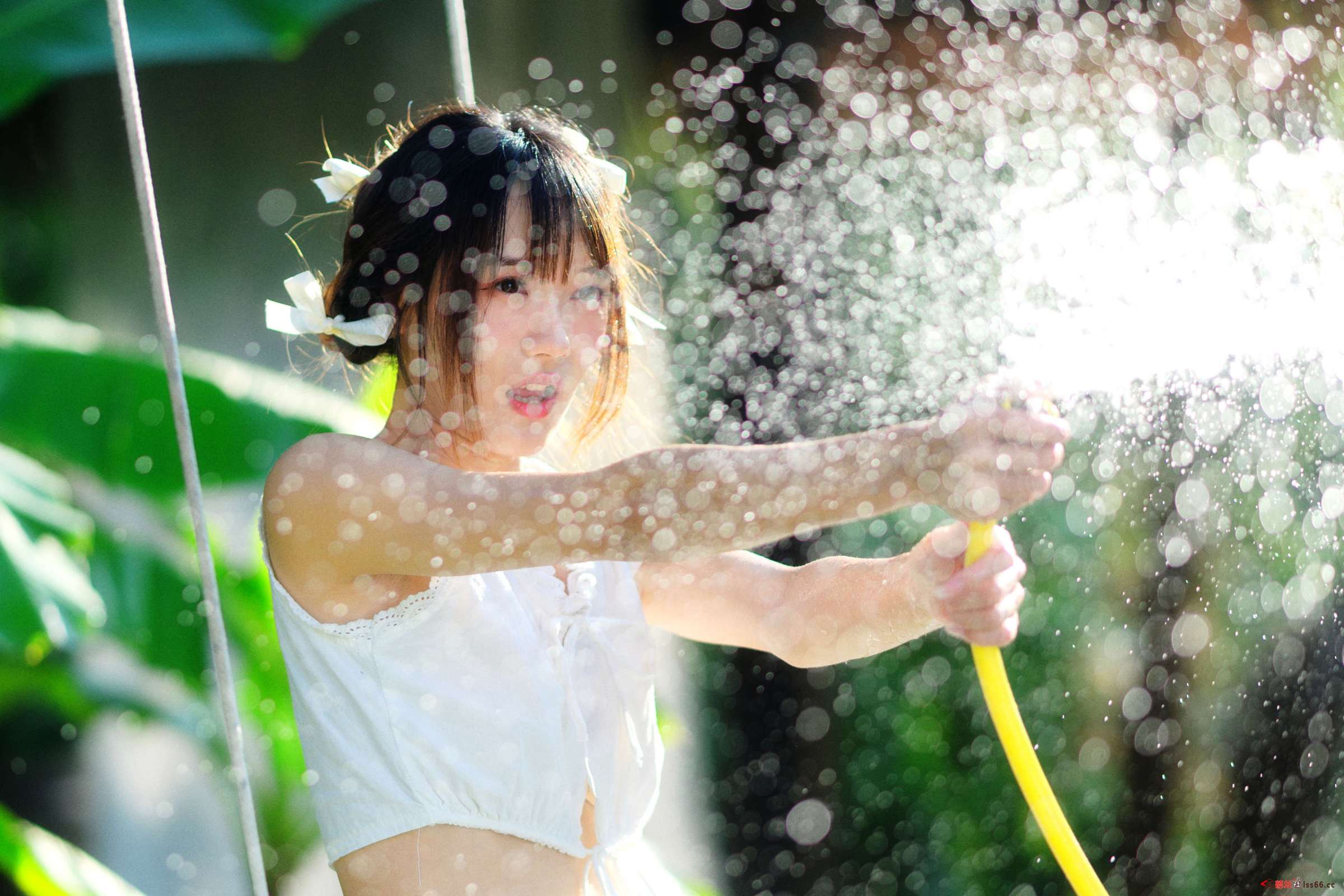 https://www.lss77.com/wp-content/uploads/2023/03/1678007854-8fc4c7ab4453d24-2400x1600.jpg
