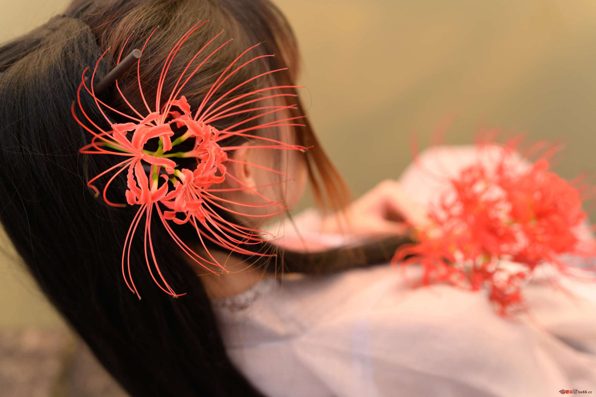 https://www.lss77.com/wp-content/uploads/2023/03/1678008030-2c62105ee18ecd5-2400x1597.jpg