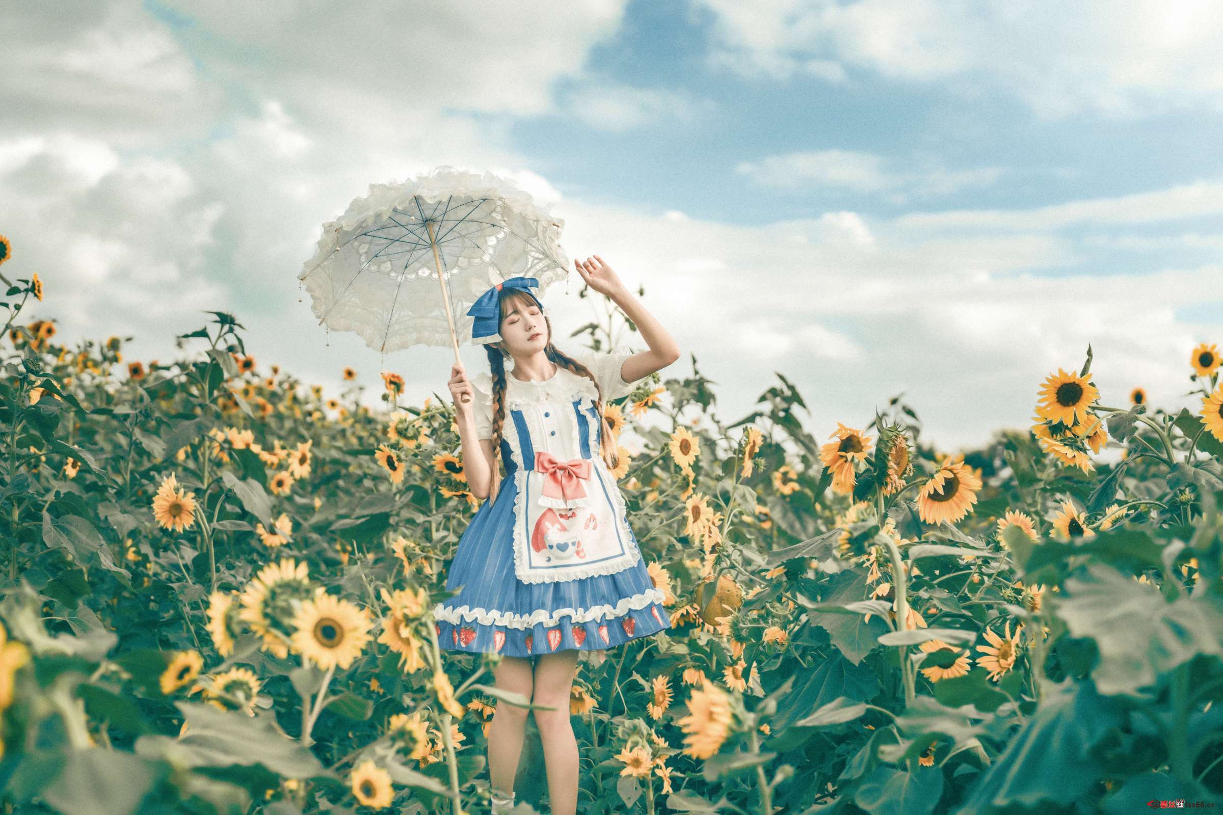 https://www.lss77.com/wp-content/uploads/2023/03/1678008125-5c7d5705ab73466-2400x1600.jpg