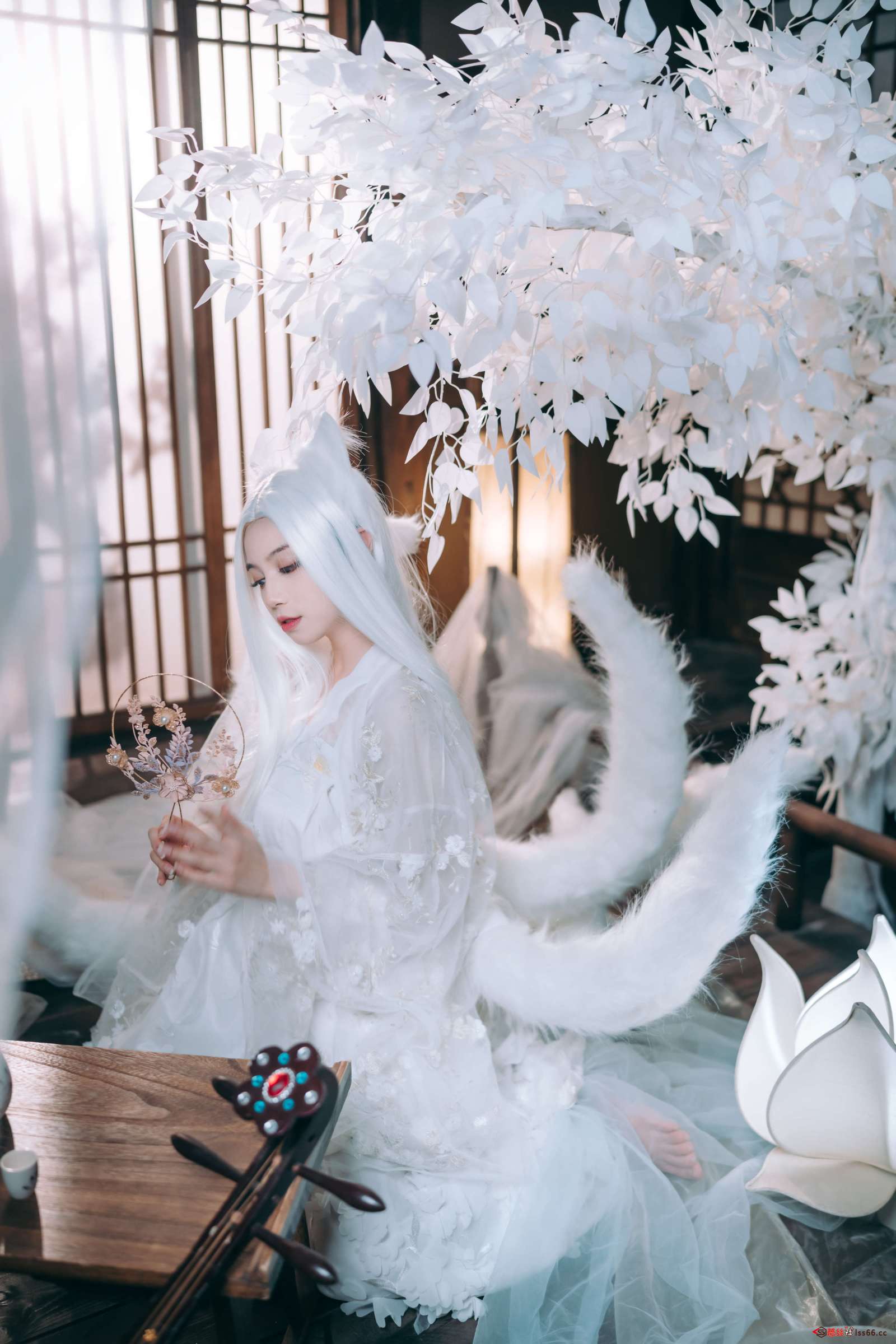 https://www.lss77.com/wp-content/uploads/2023/03/1678528171-9c3ce93643ed685-1600x2400.jpg