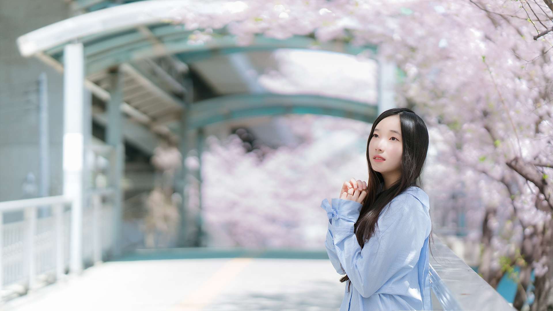 https://www.lss77.com/wp-content/uploads/2023/03/1678529536-e7db56dbec713f0.jpg