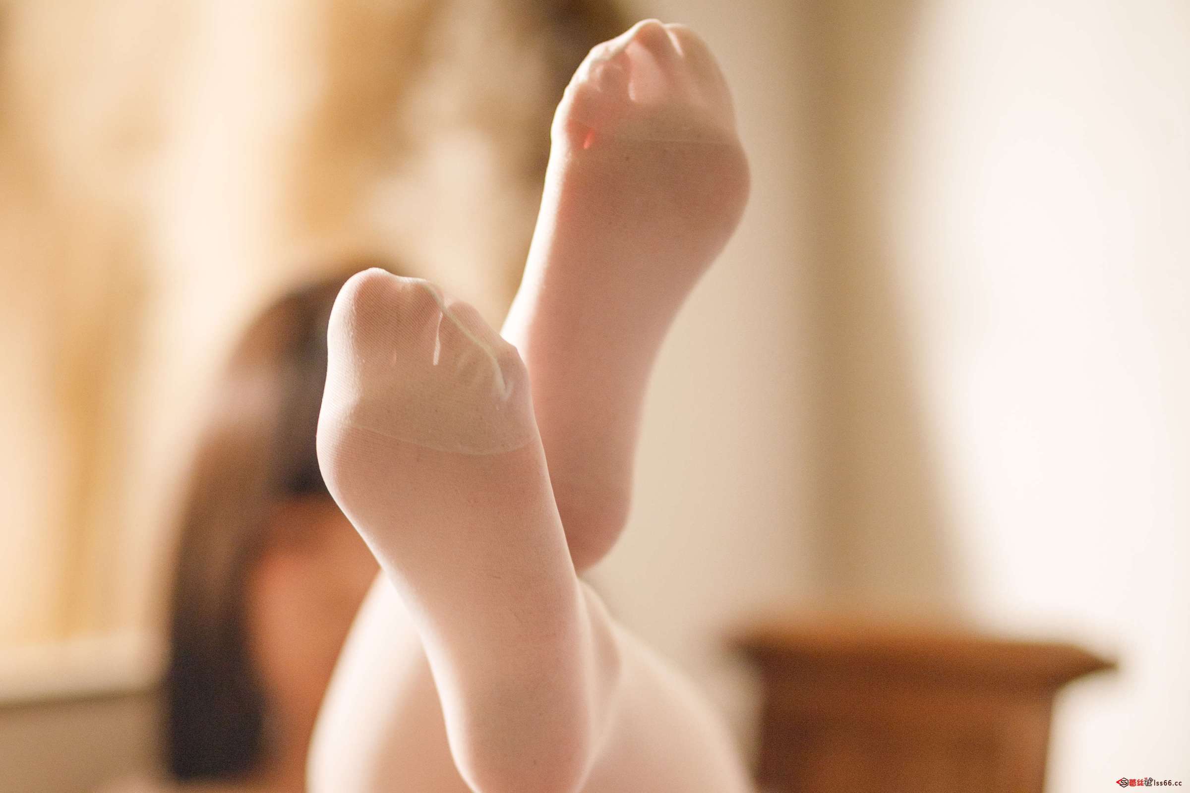 https://www.lss77.com/wp-content/uploads/2023/03/1678819323-f803dfeb3583d50-2400x1600.jpg
