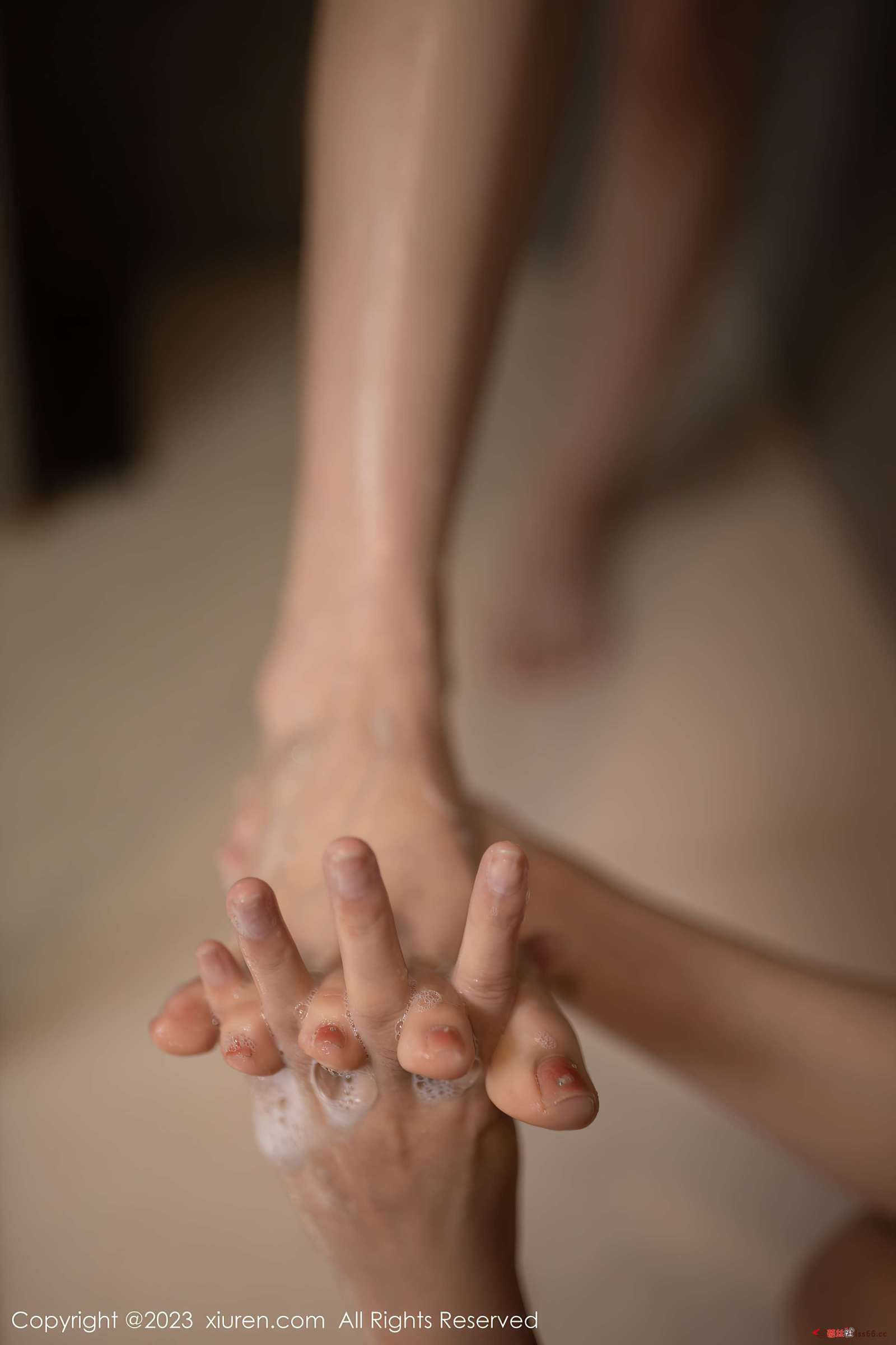 https://www.lss77.com/wp-content/uploads/2023/03/1679041832-31f123e5785fc03-1600x2400.jpg