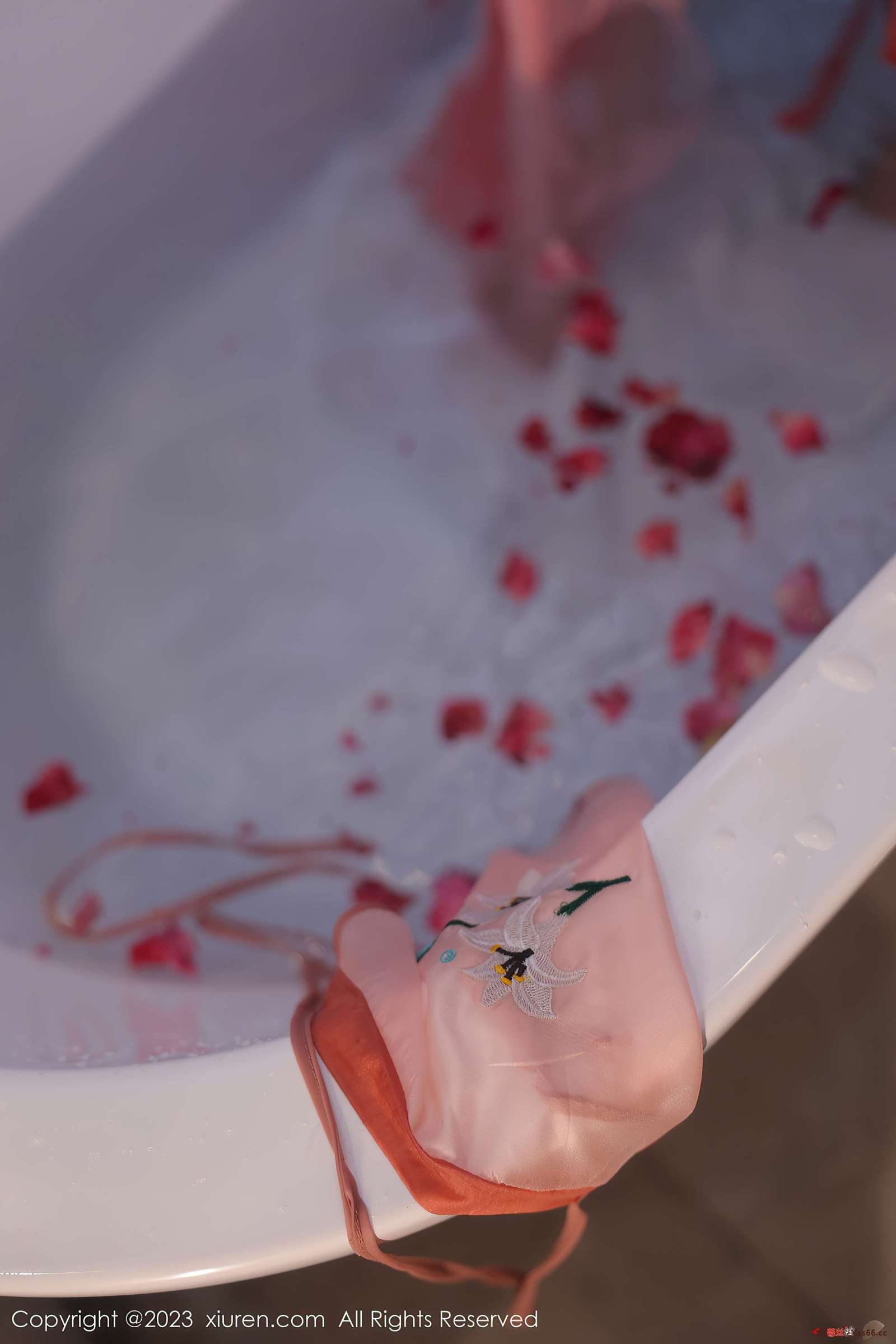 https://www.lss77.com/wp-content/uploads/2023/03/1679242719-73cc1f9b54baa59-1600x2400.jpg