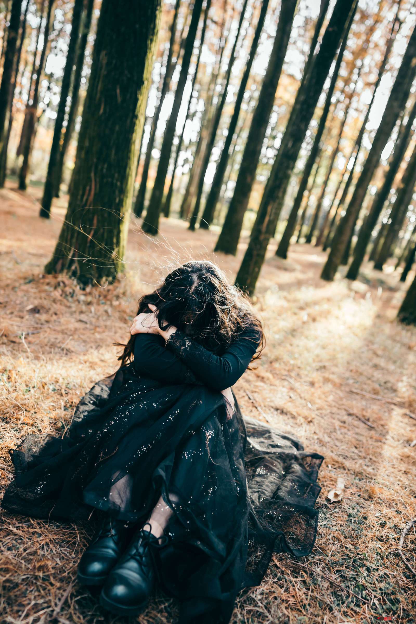 https://www.lss77.com/wp-content/uploads/2023/03/1679468857-c4de9fe96832a87-1600x2400.jpg