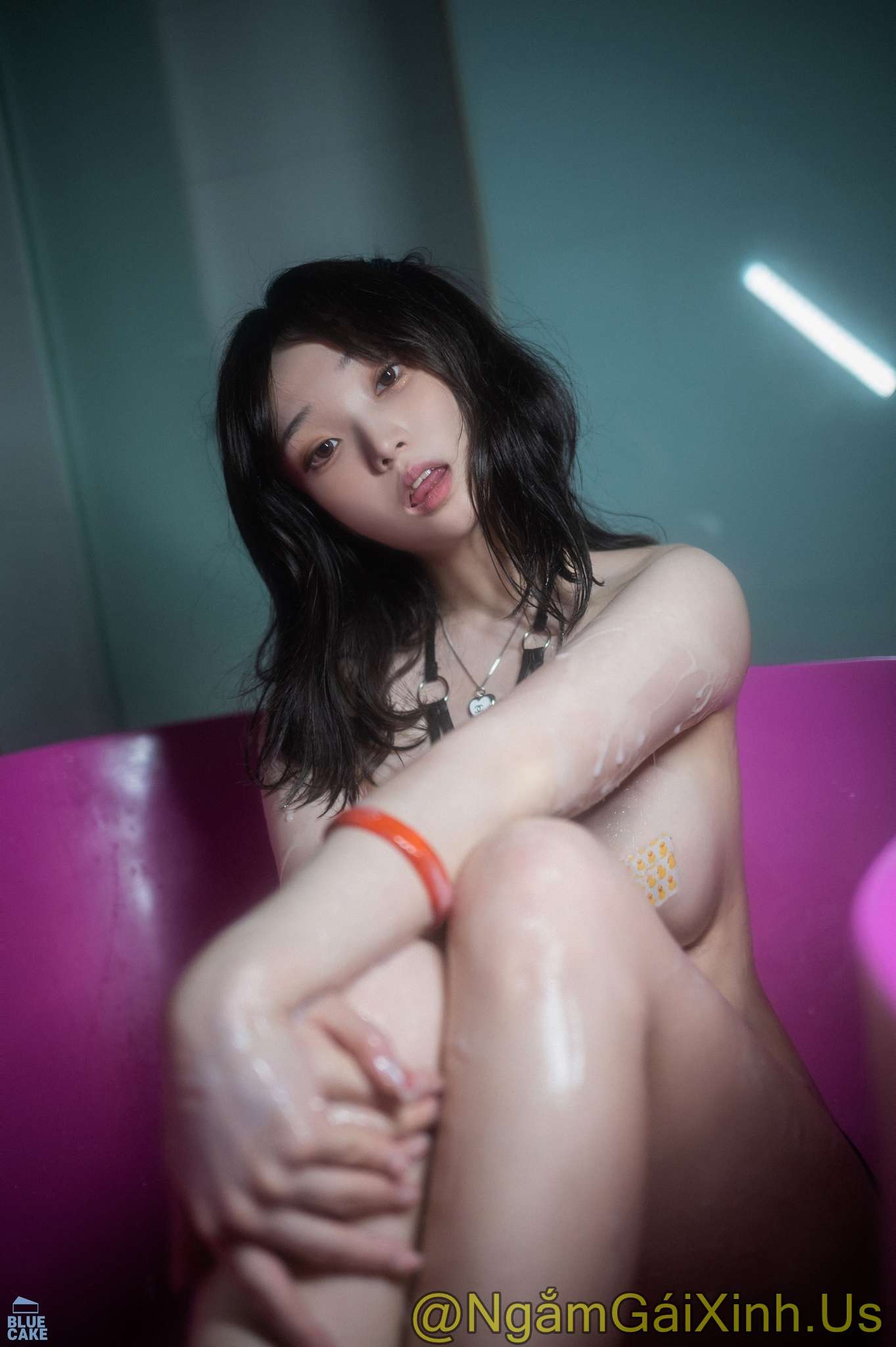 https://www.lss77.com/wp-content/uploads/2023/03/1679475936-bd4c9ab730f5513.jpg