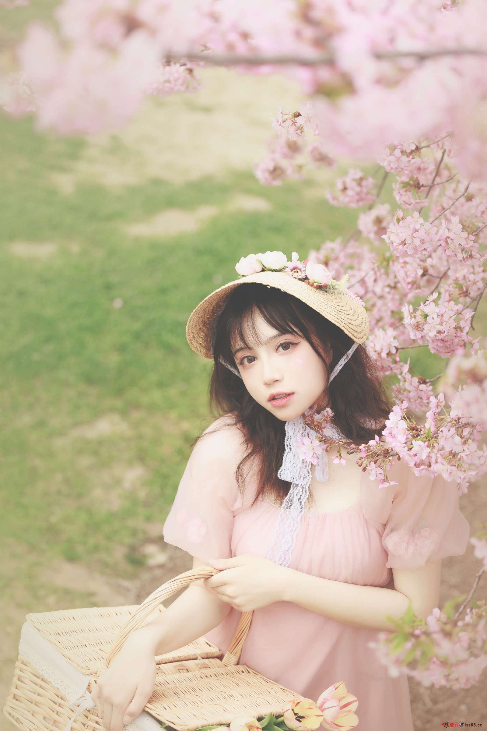 https://www.lss77.com/wp-content/uploads/2023/03/1679507512-ce08becc73195df-1600x2400.jpg