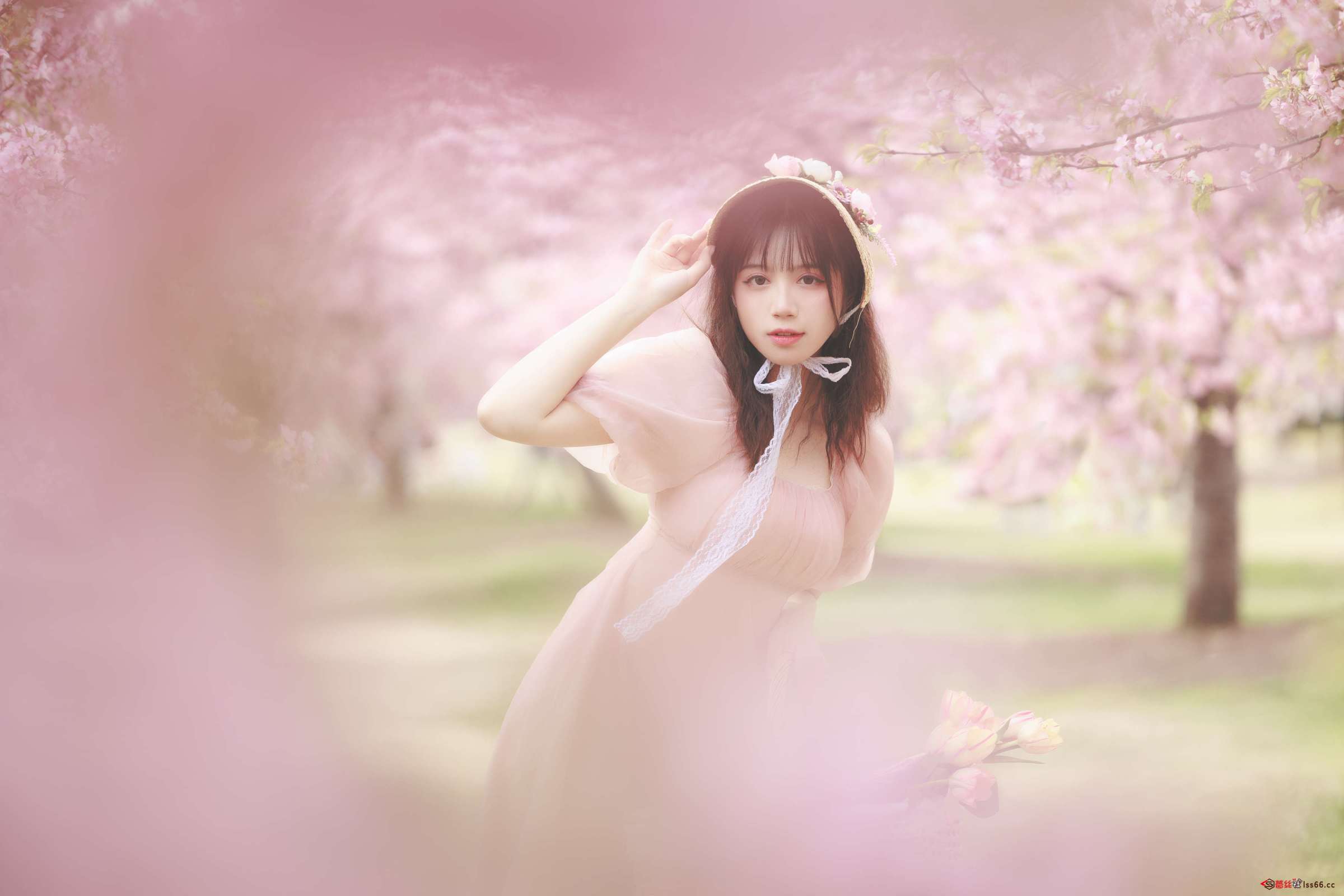 https://www.lss77.com/wp-content/uploads/2023/03/1679507628-af032fbcb07ffc7-2400x1600.jpg