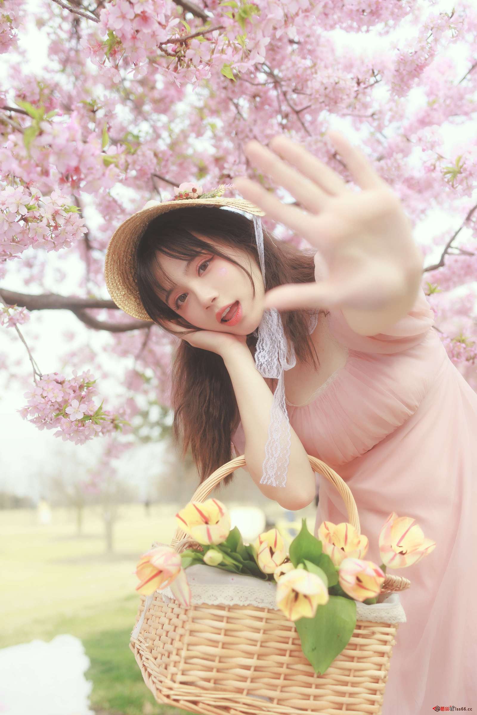 https://www.lss77.com/wp-content/uploads/2023/03/1679507674-9c3ce93643ed685-1600x2400.jpg
