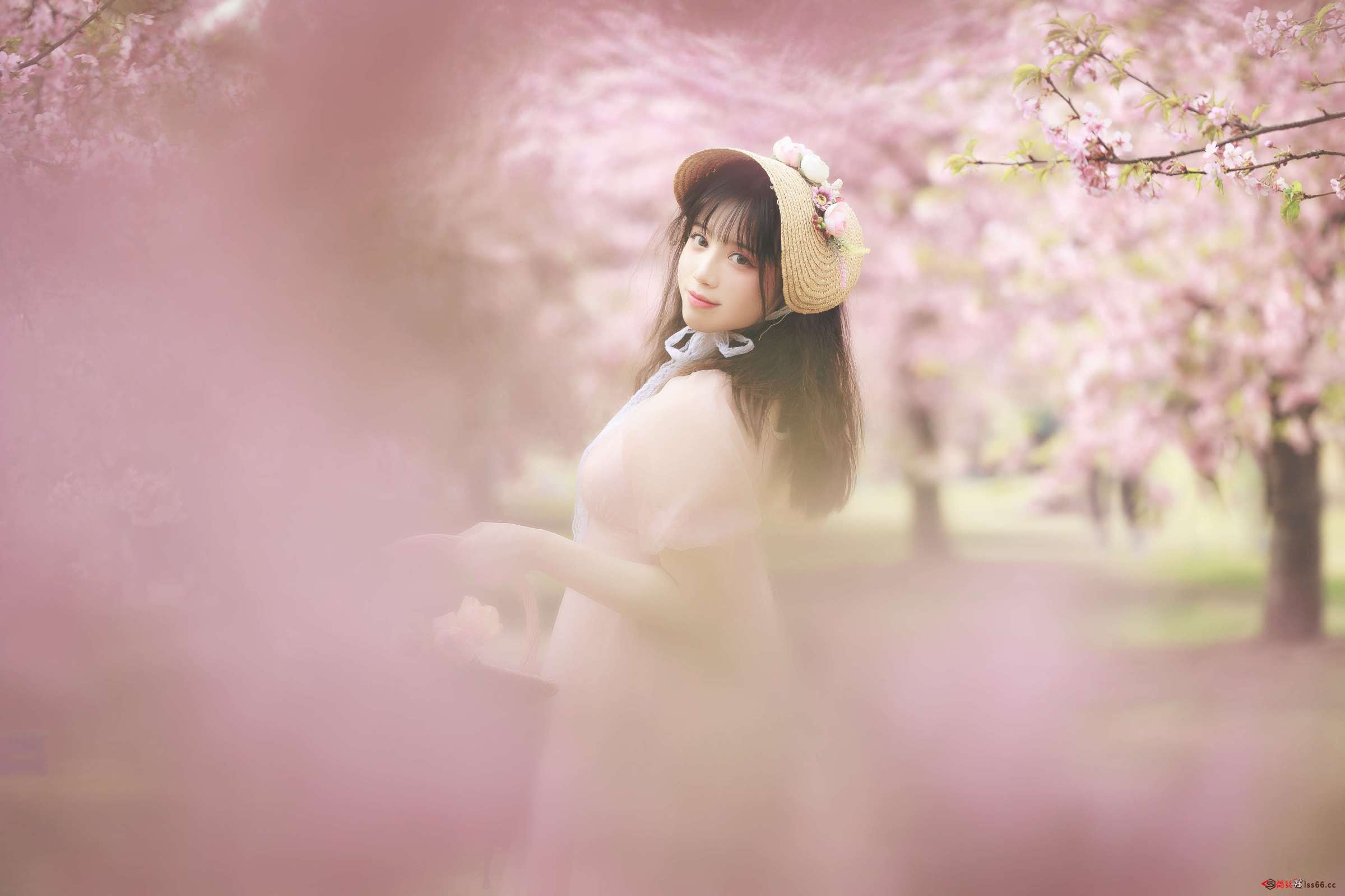 https://www.lss77.com/wp-content/uploads/2023/03/1679507696-f803dfeb3583d50-2400x1600.jpg