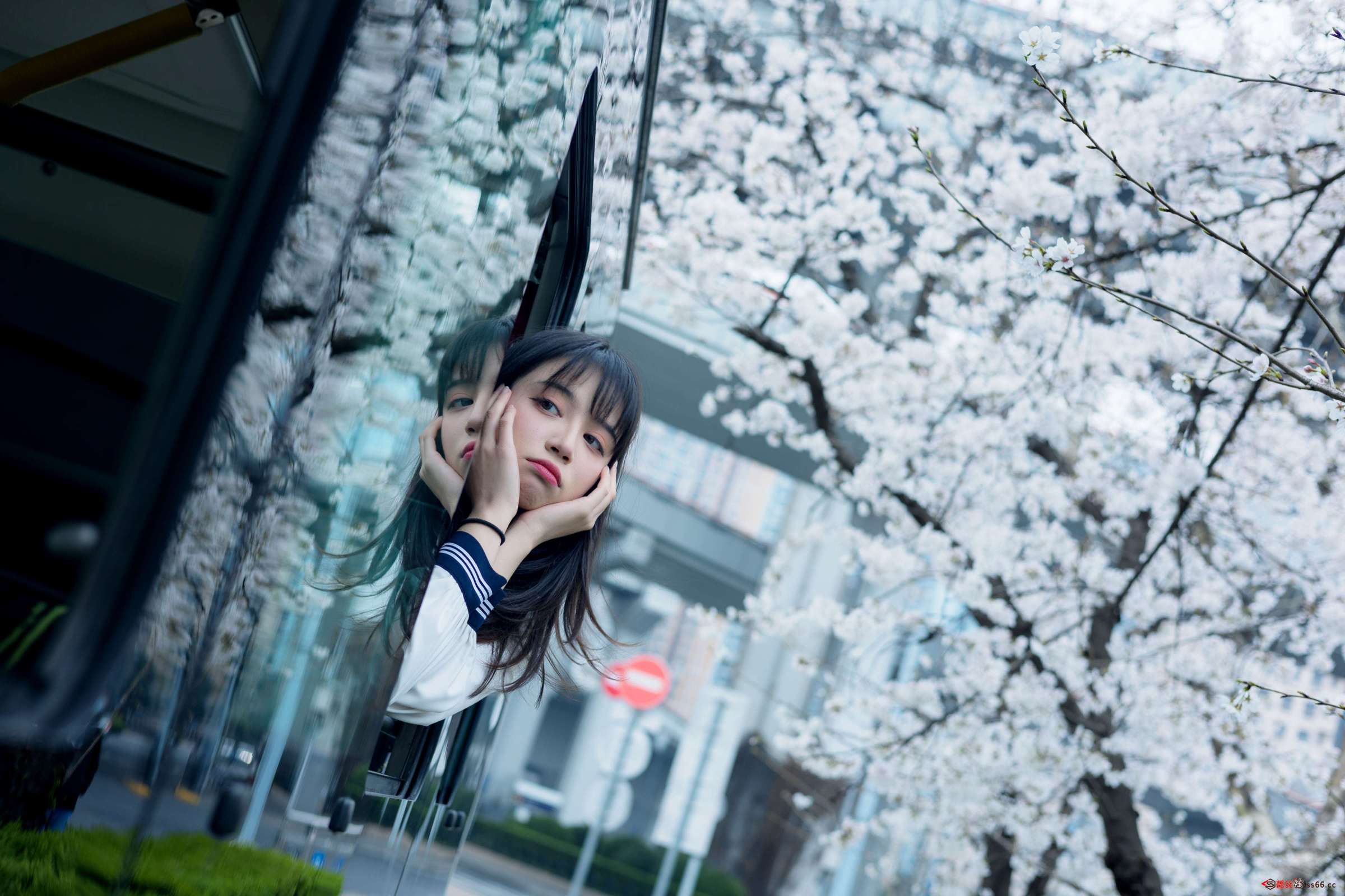 https://www.lss77.com/wp-content/uploads/2023/03/1679638960-73f7634ab3f381f-2400x1600.jpg